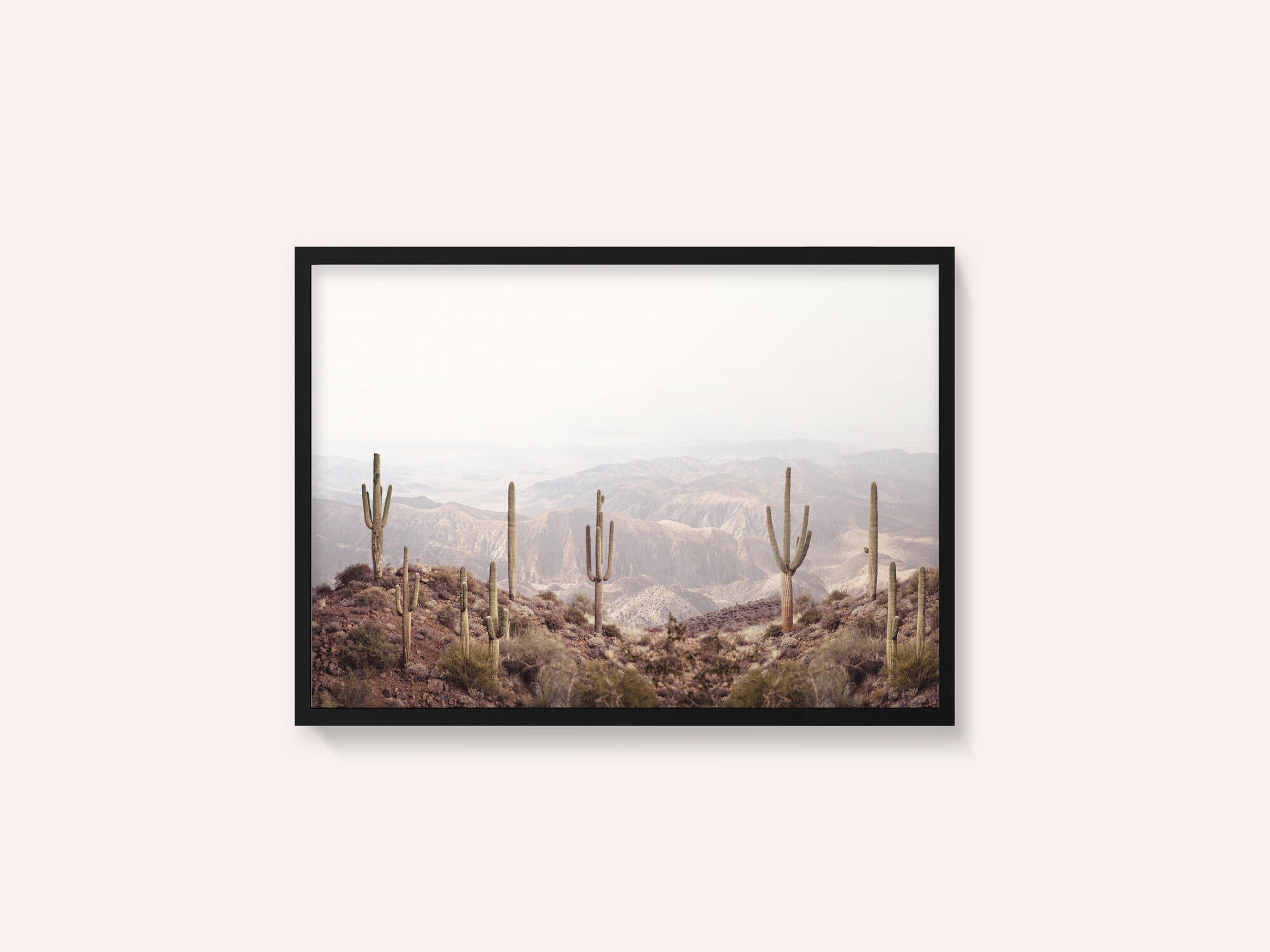 Arizona Valley