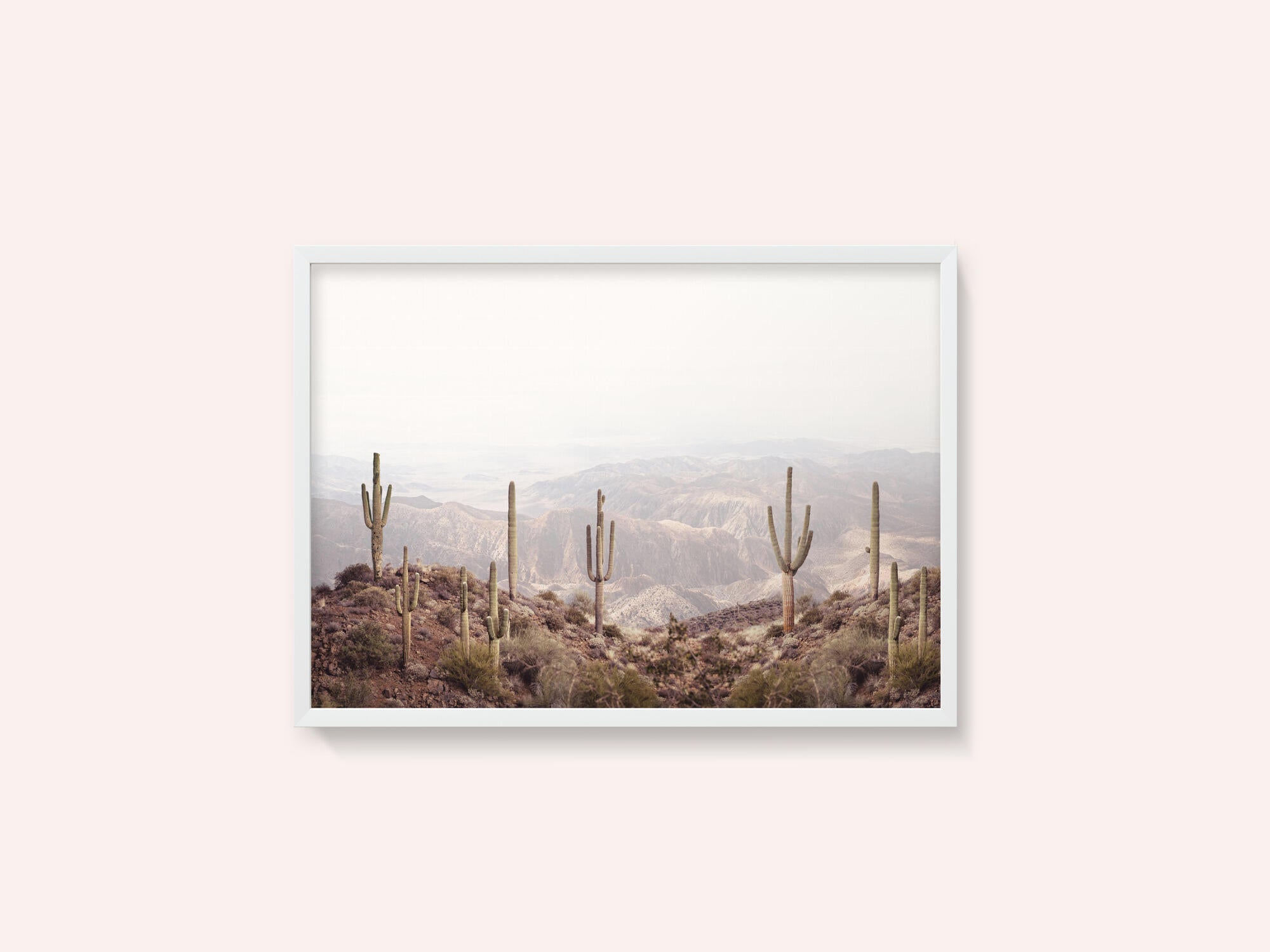 Arizona Valley