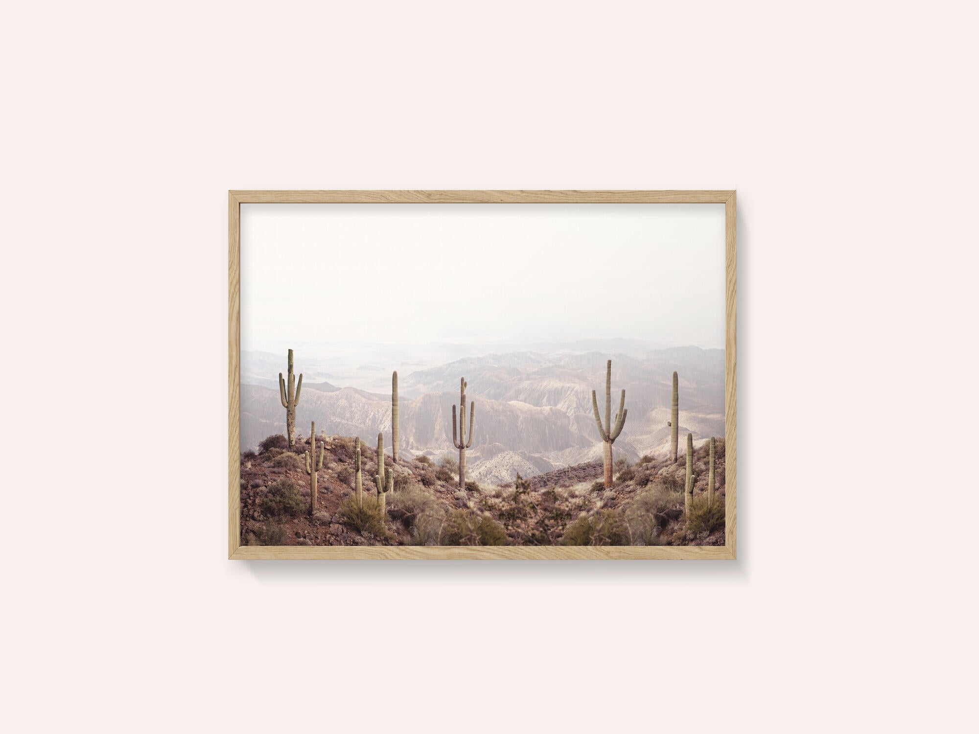 Arizona Valley