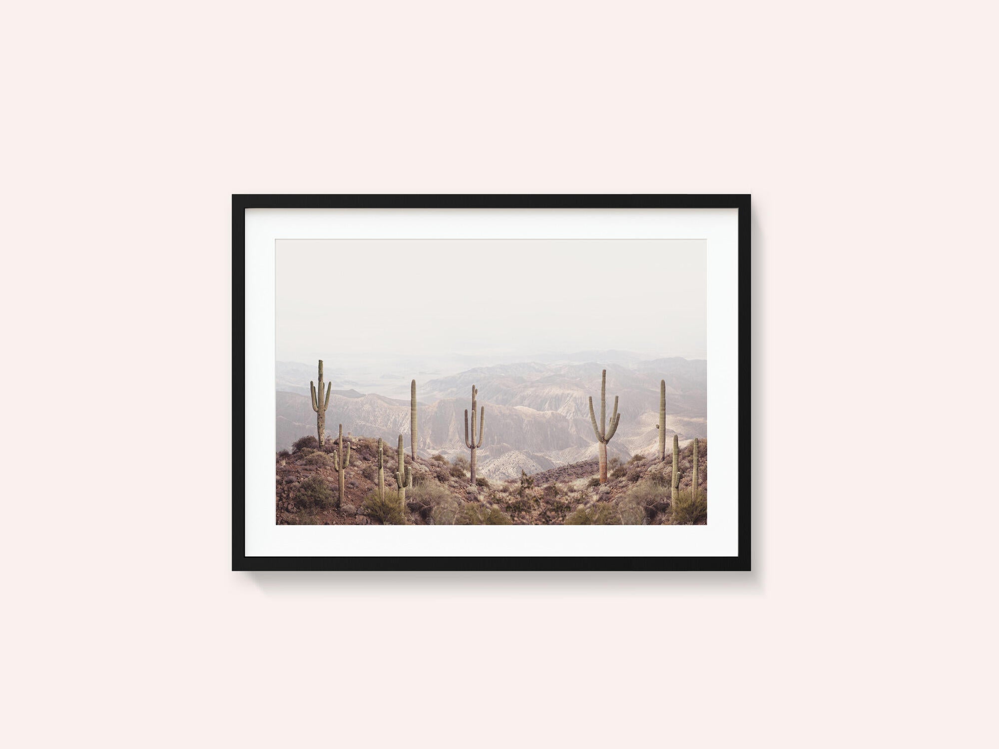 Arizona Valley