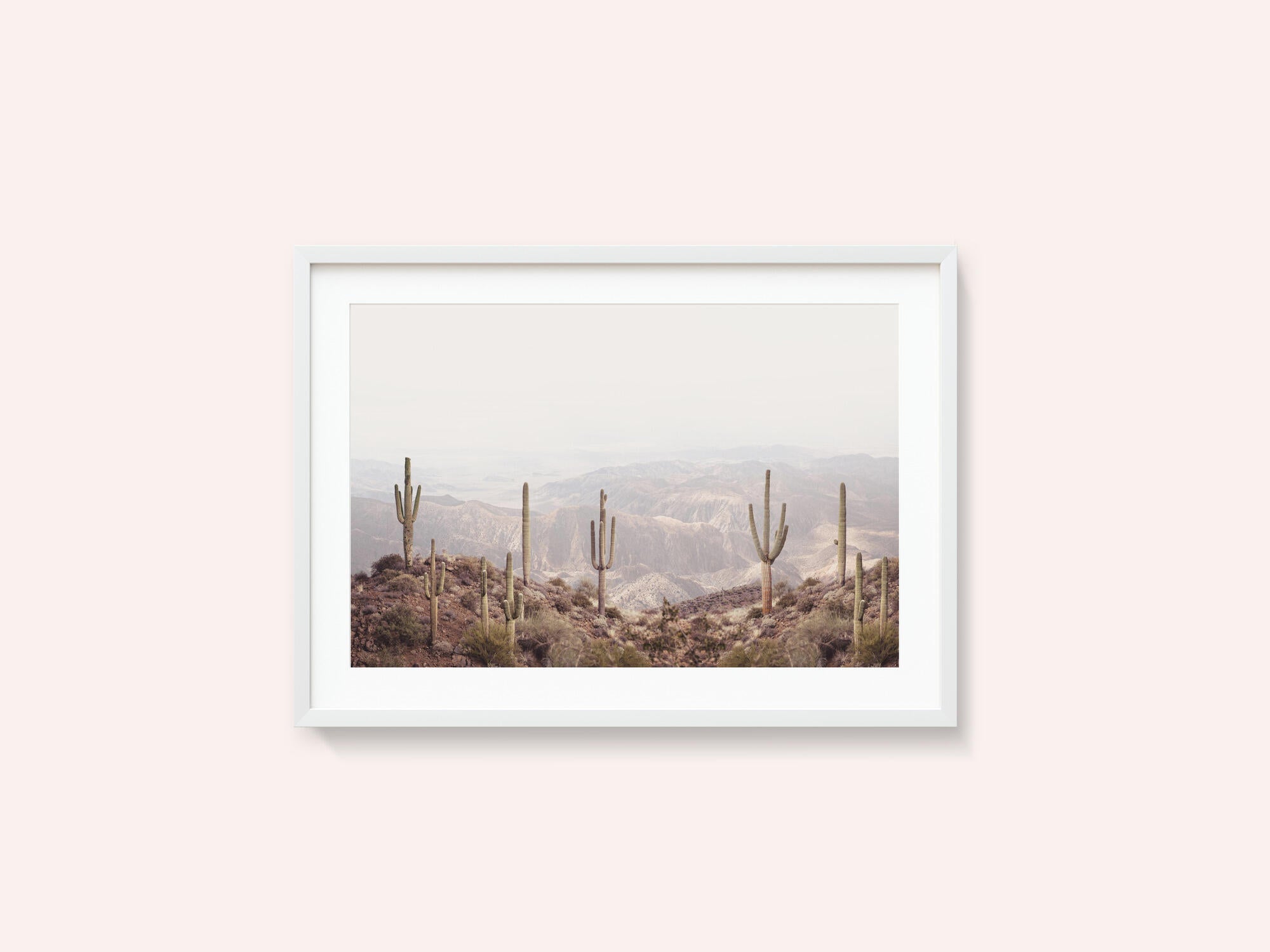 Arizona Valley