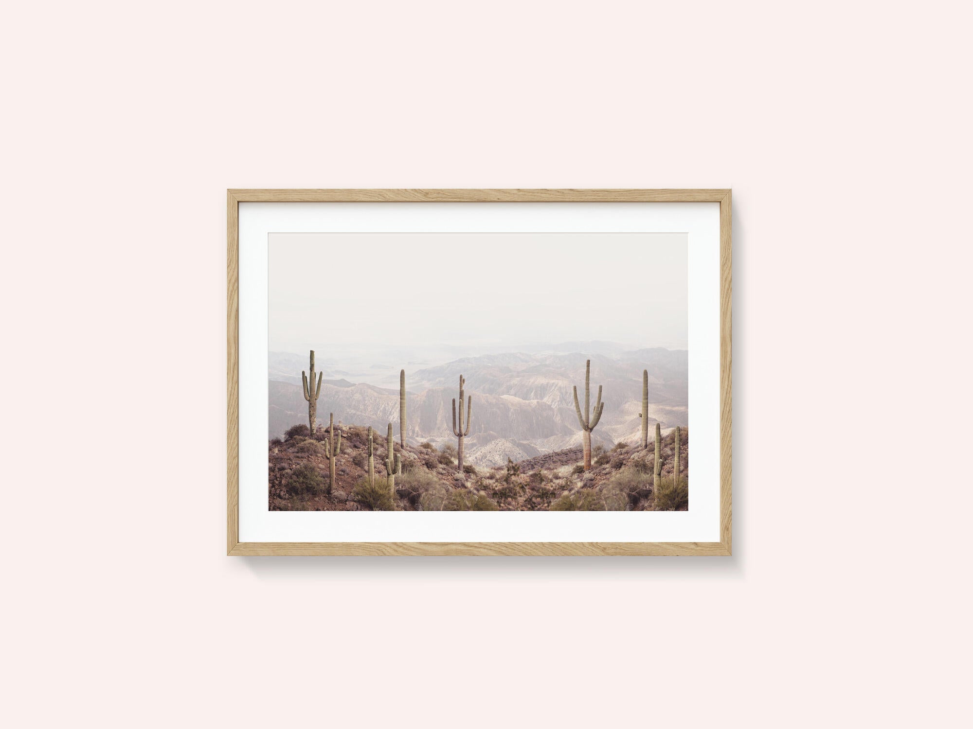 Arizona Valley