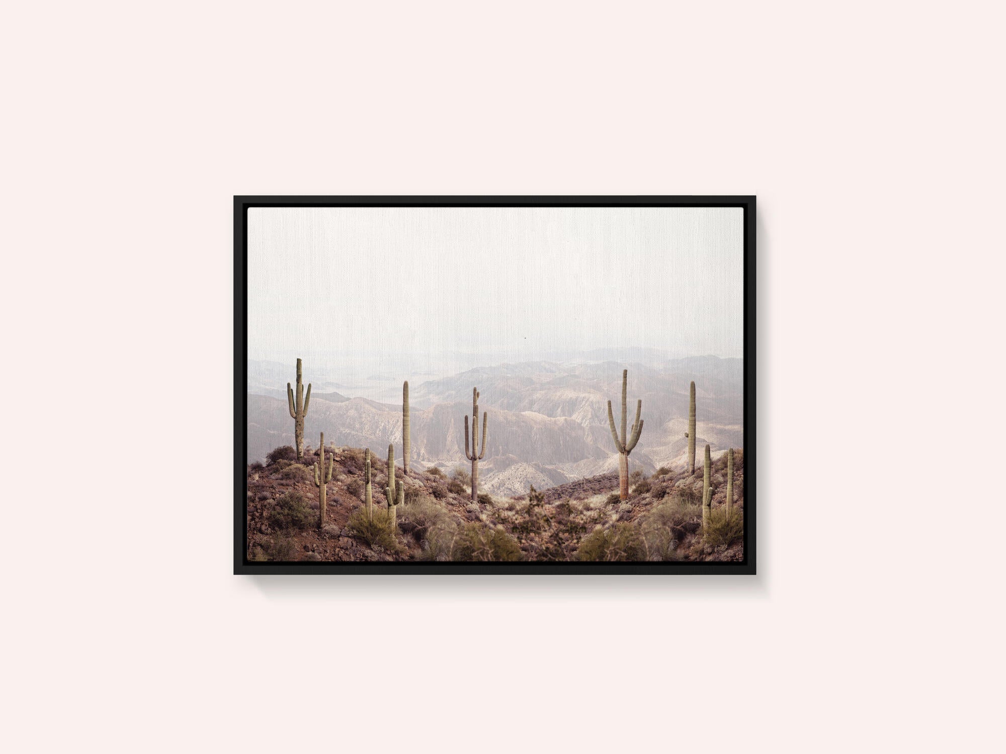 Arizona Valley