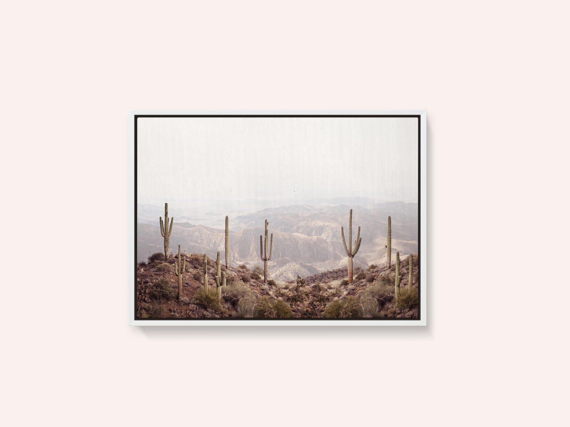 Arizona Valley