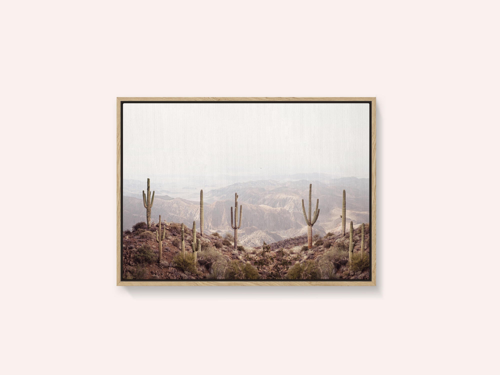 Arizona Valley