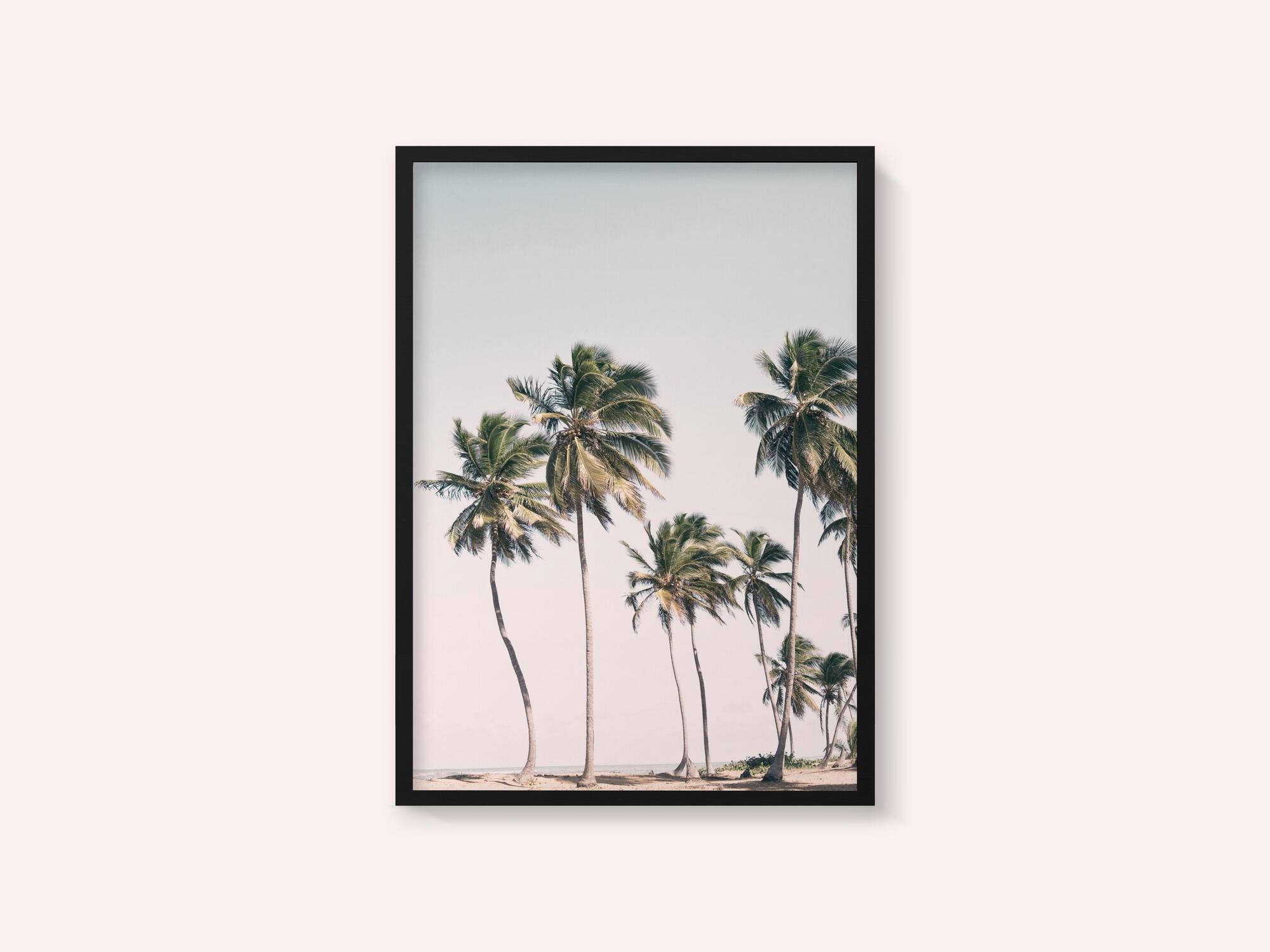 Blush Tropical Trees