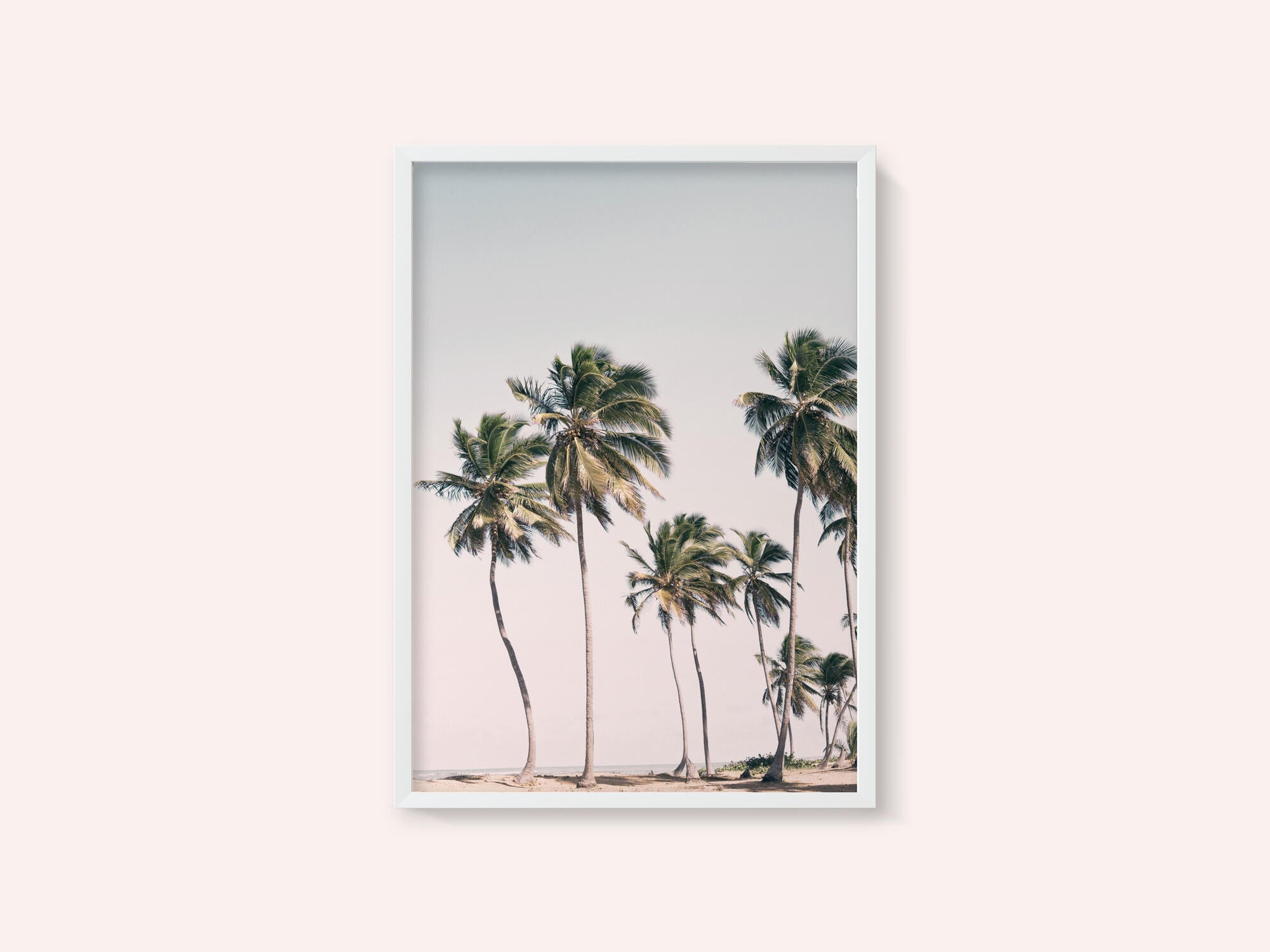 Blush Tropical Trees