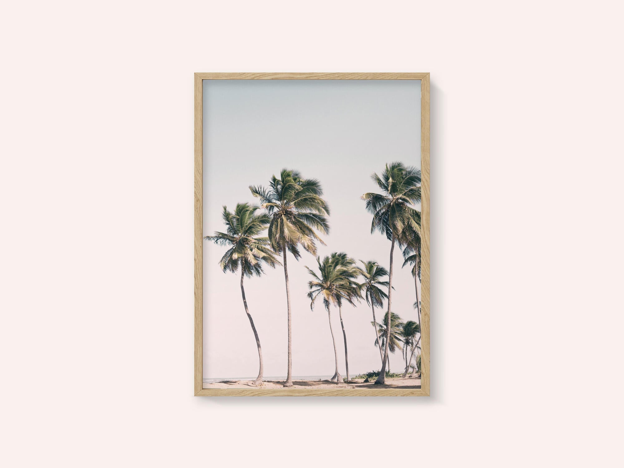 Blush Tropical Trees
