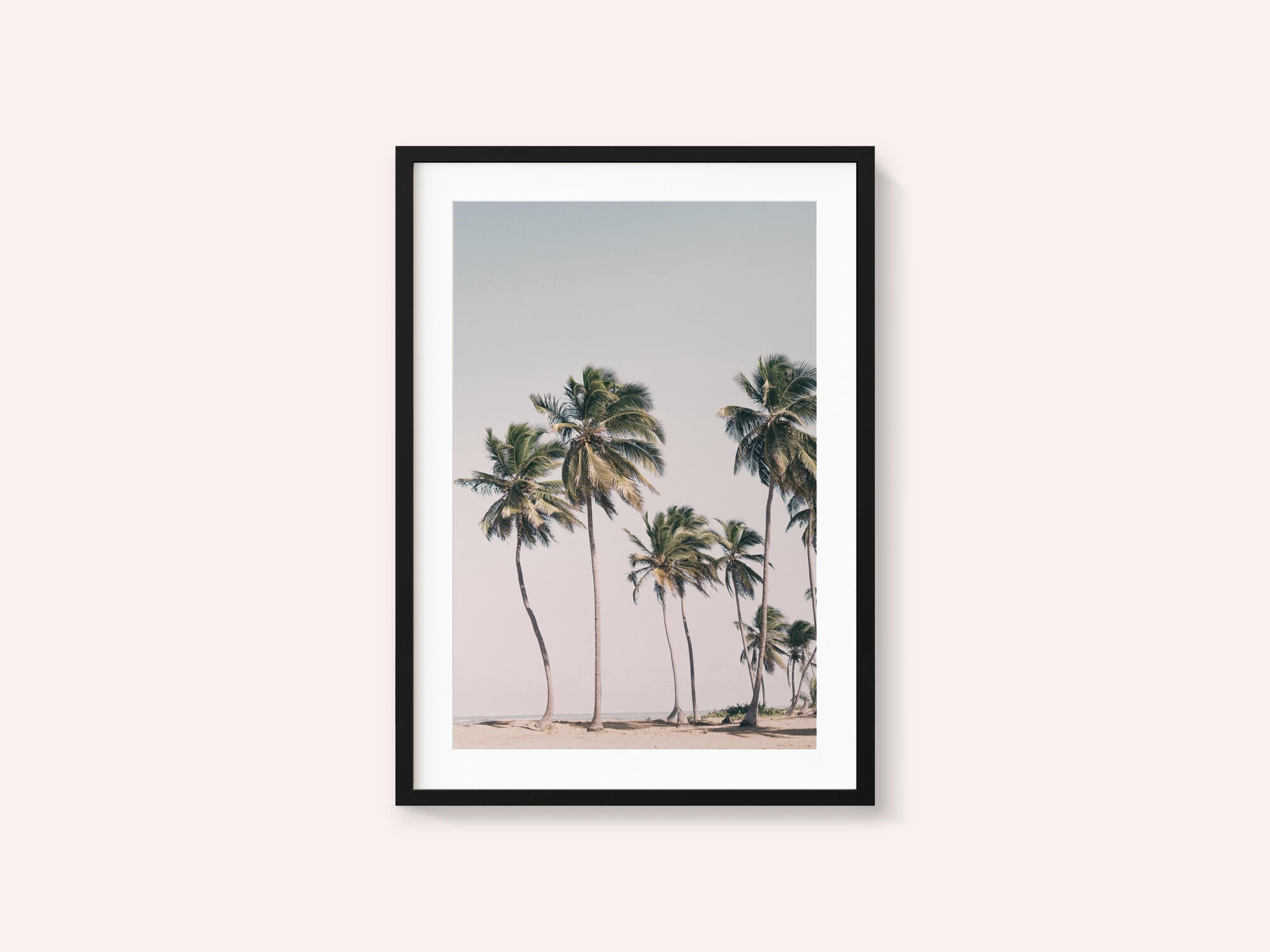Blush Tropical Trees