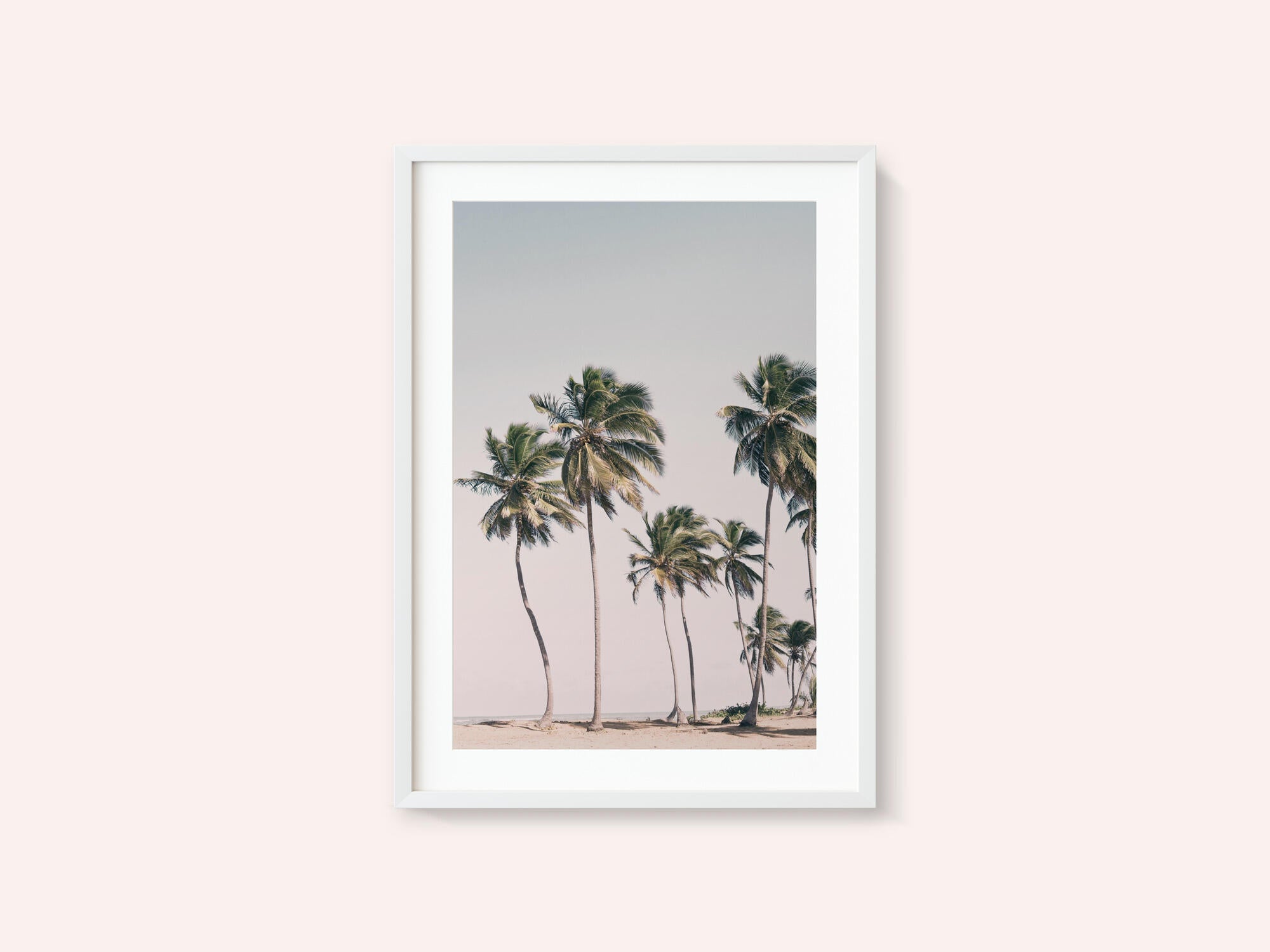 Blush Tropical Trees