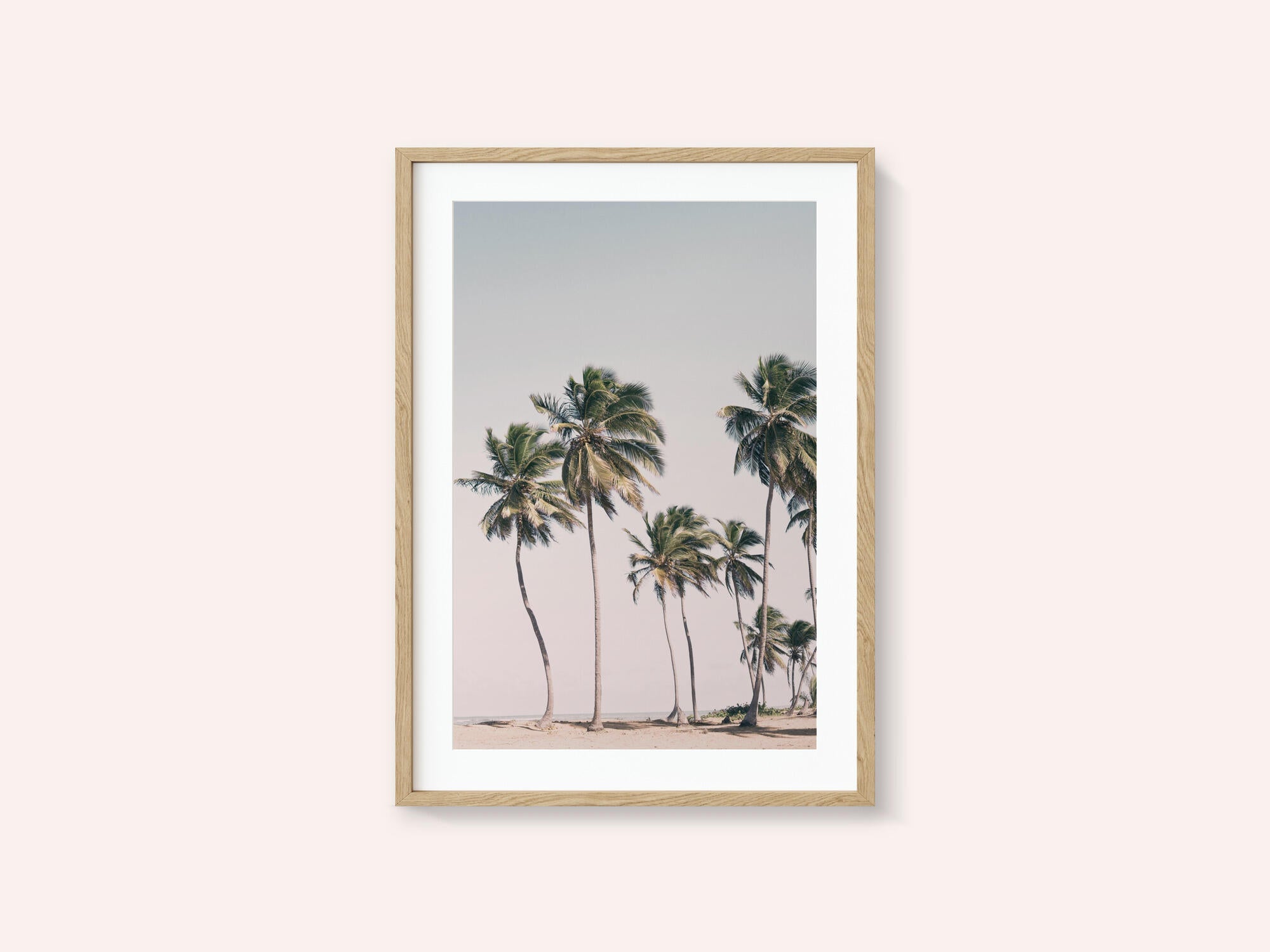 Blush Tropical Trees