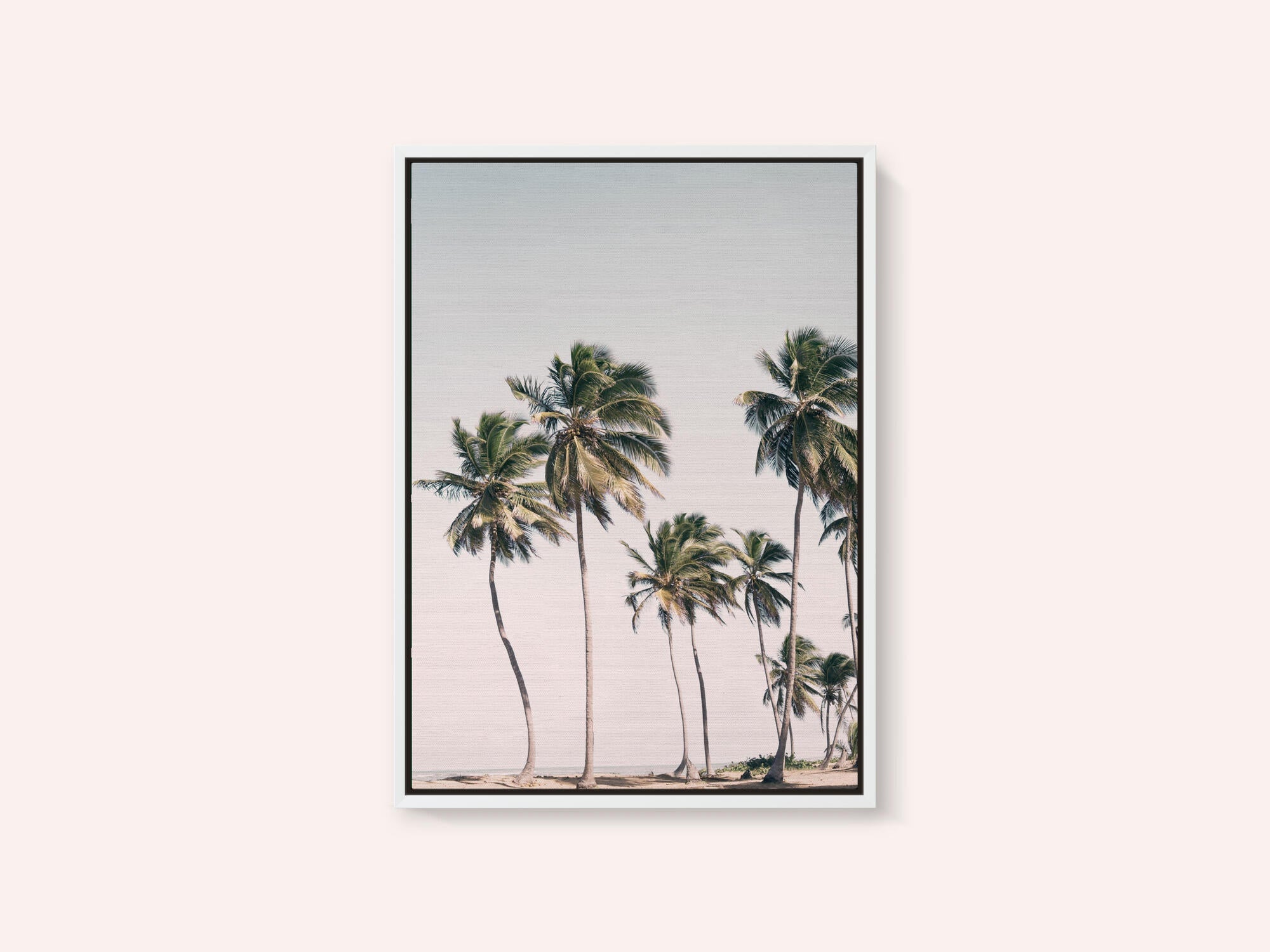 Blush Tropical Trees