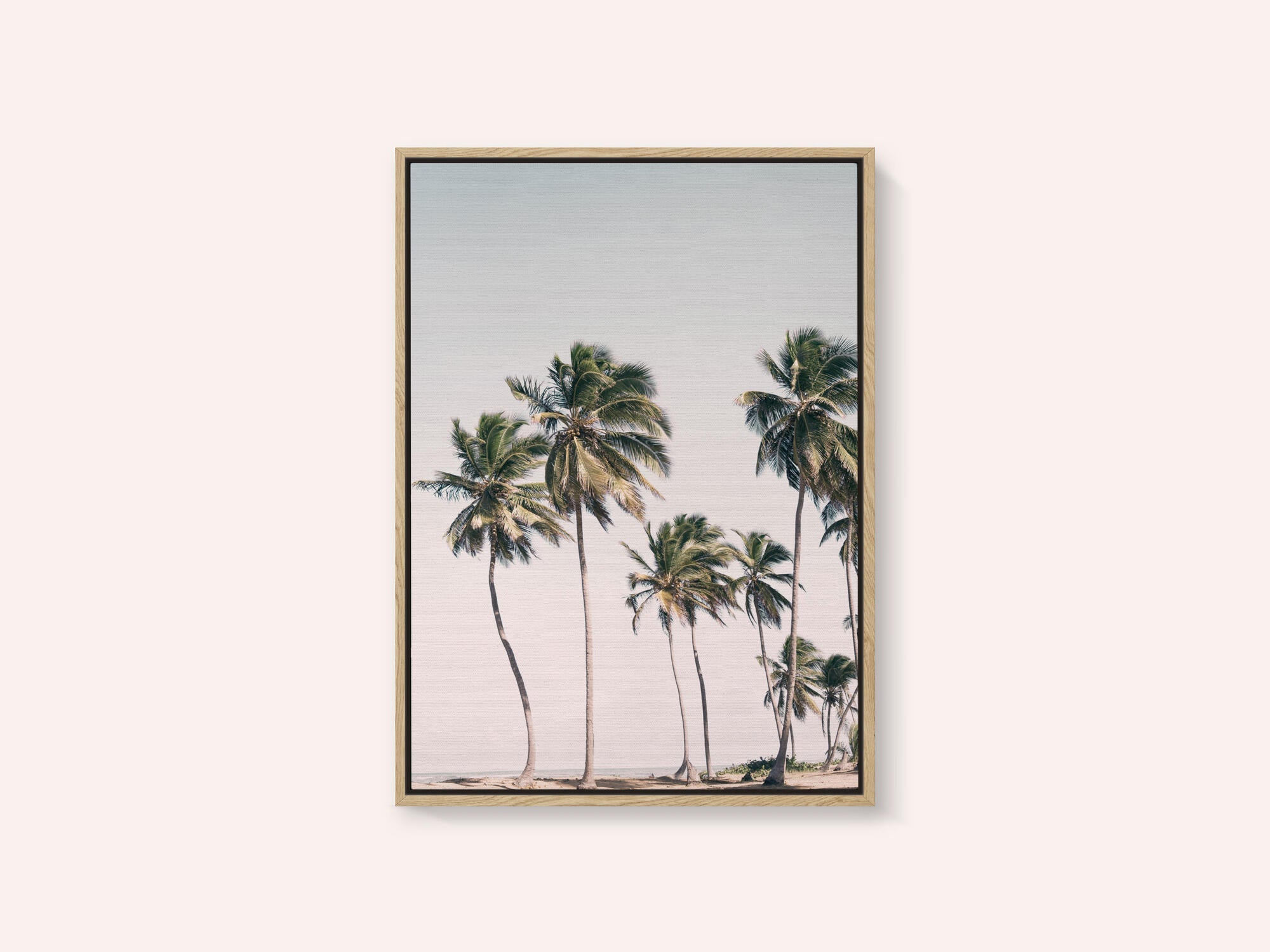Blush Tropical Trees