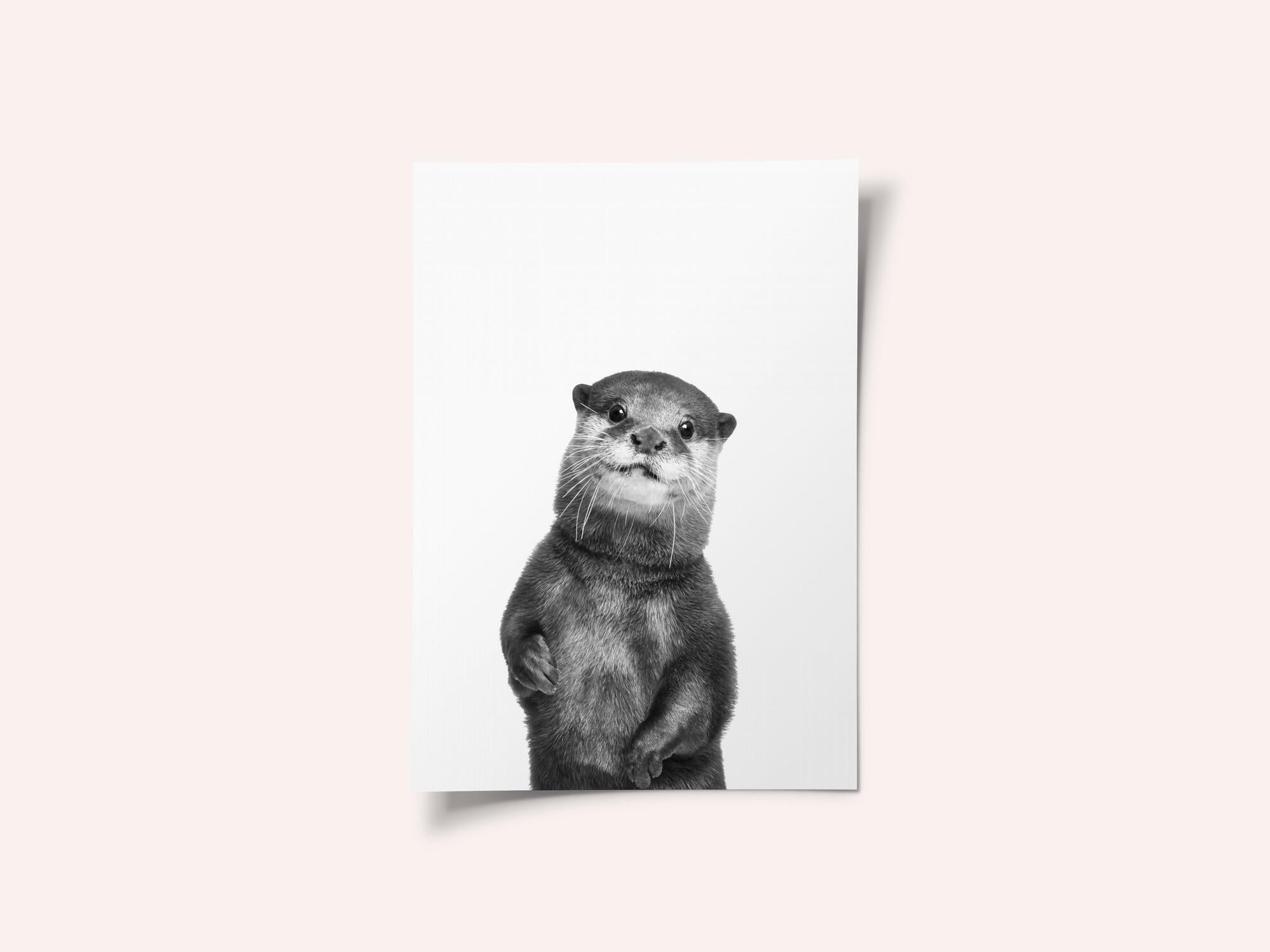 Otter