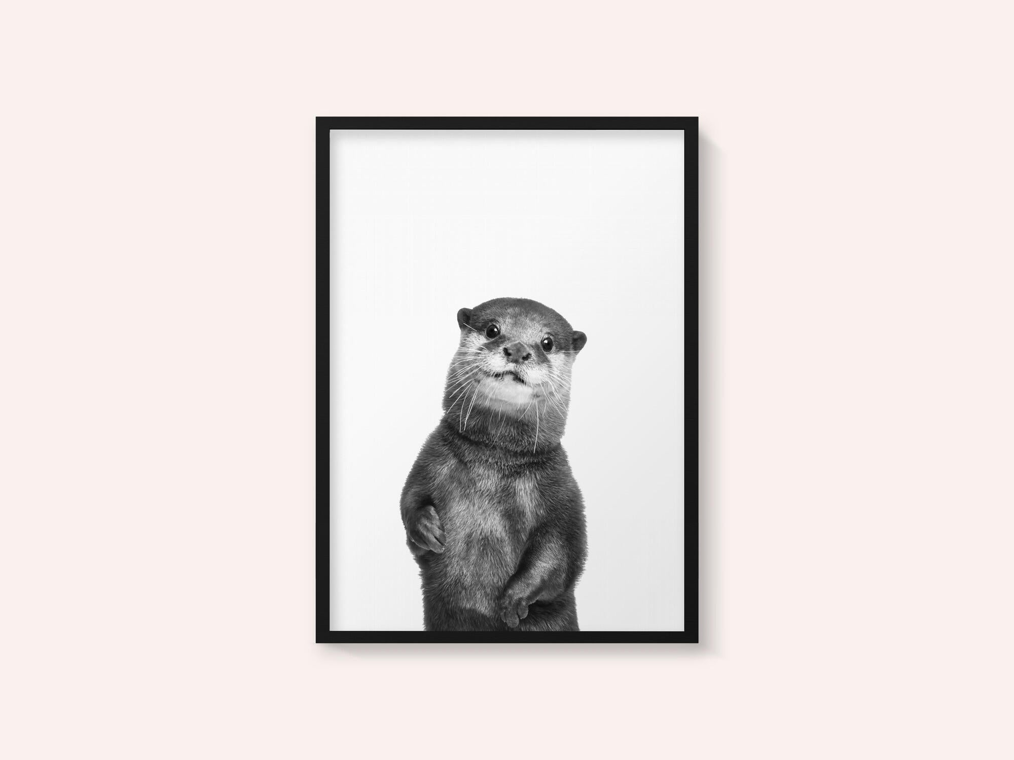 Otter