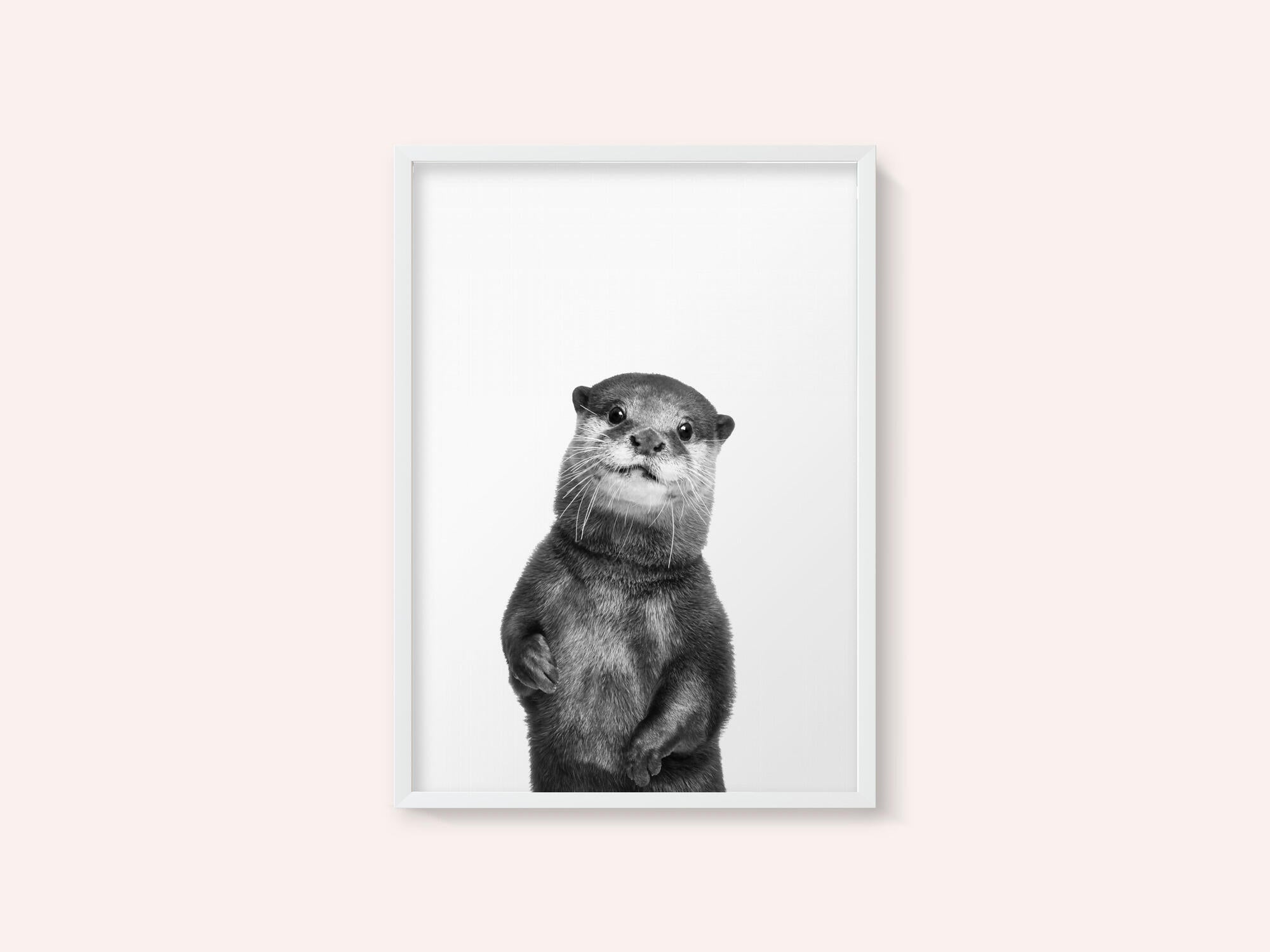Otter