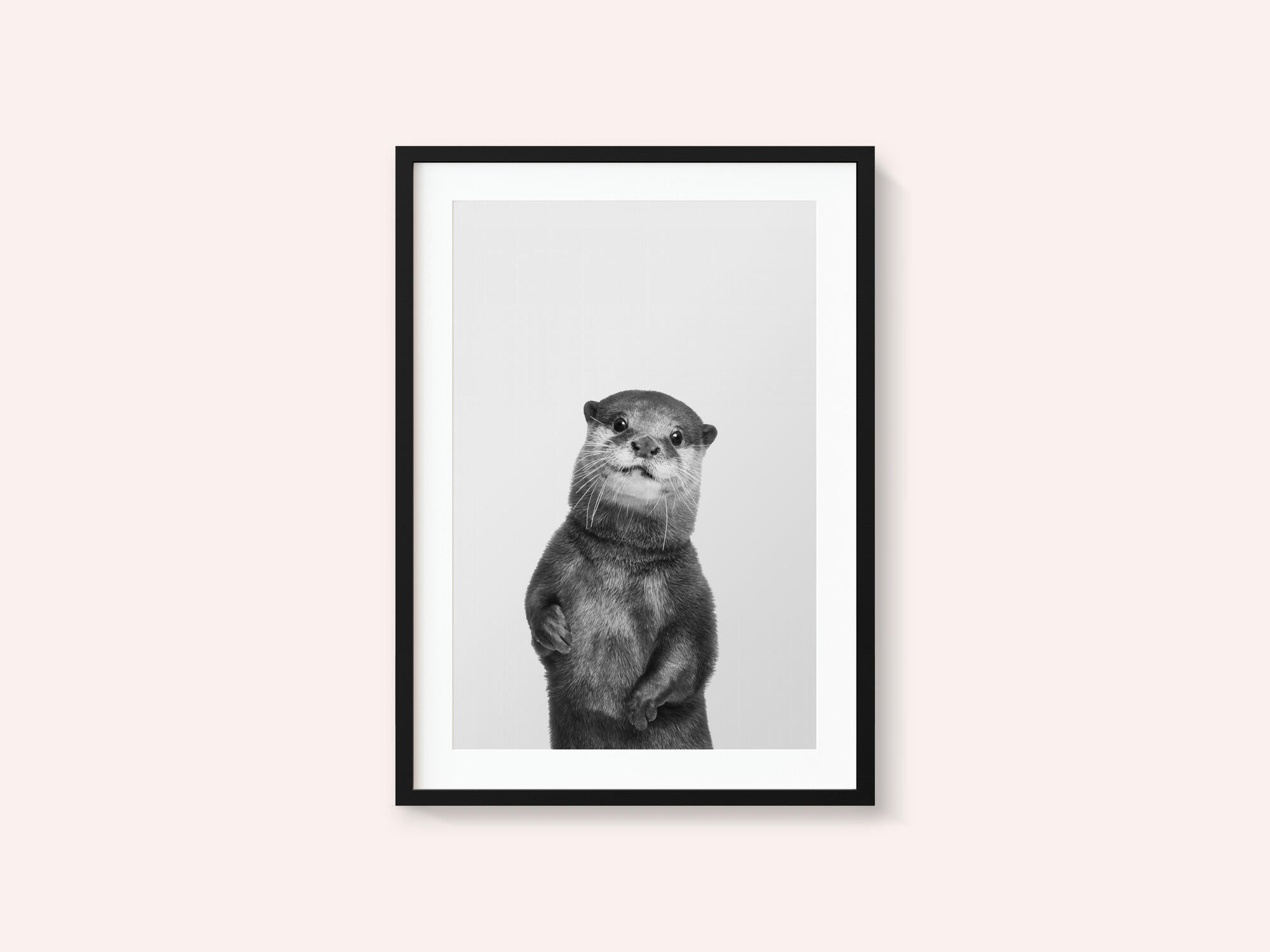 Otter