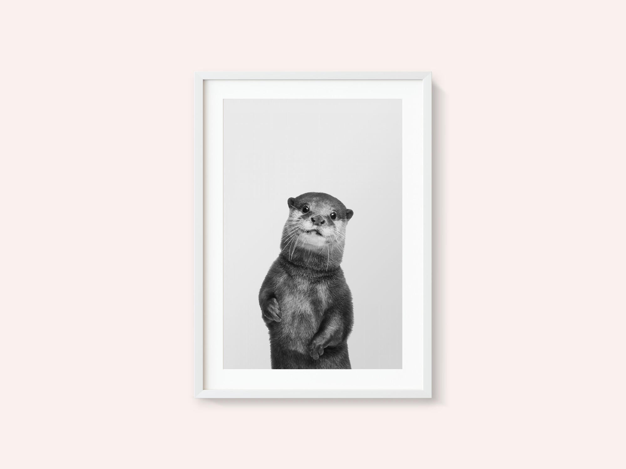 Otter