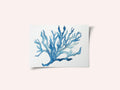 Blue Coral