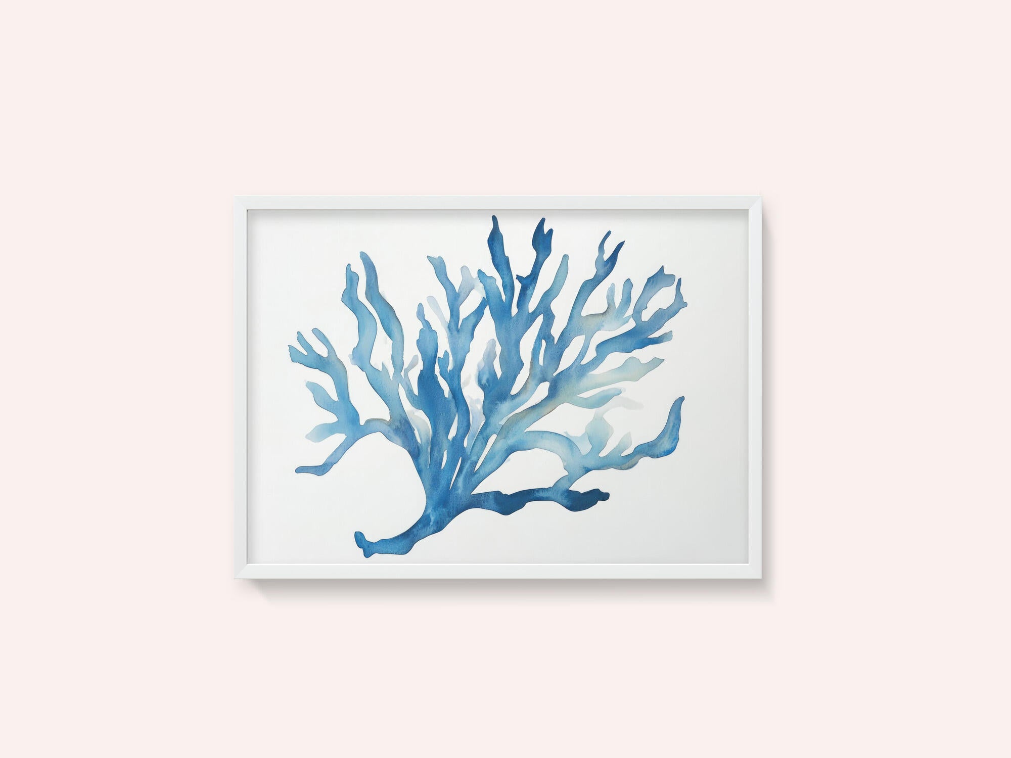 Blue Coral
