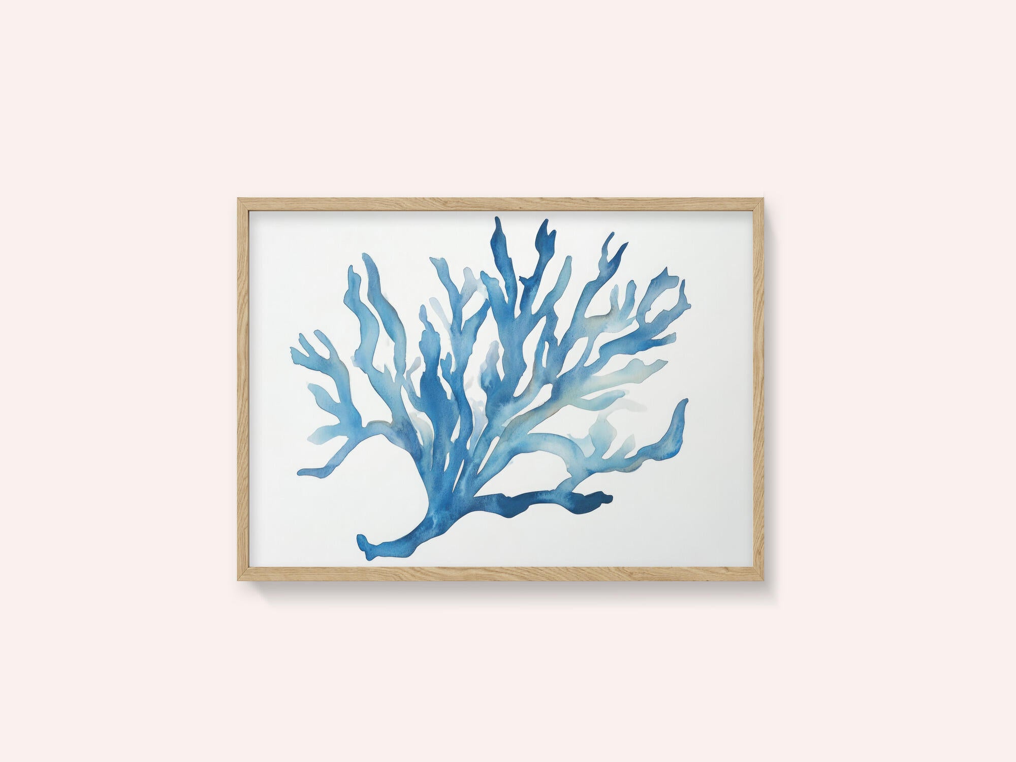 Blue Coral