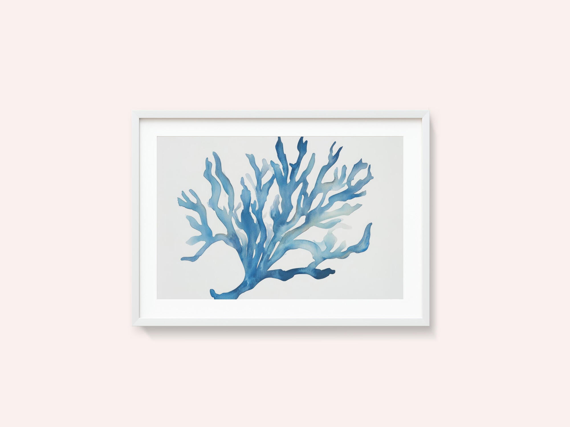 Blue Coral