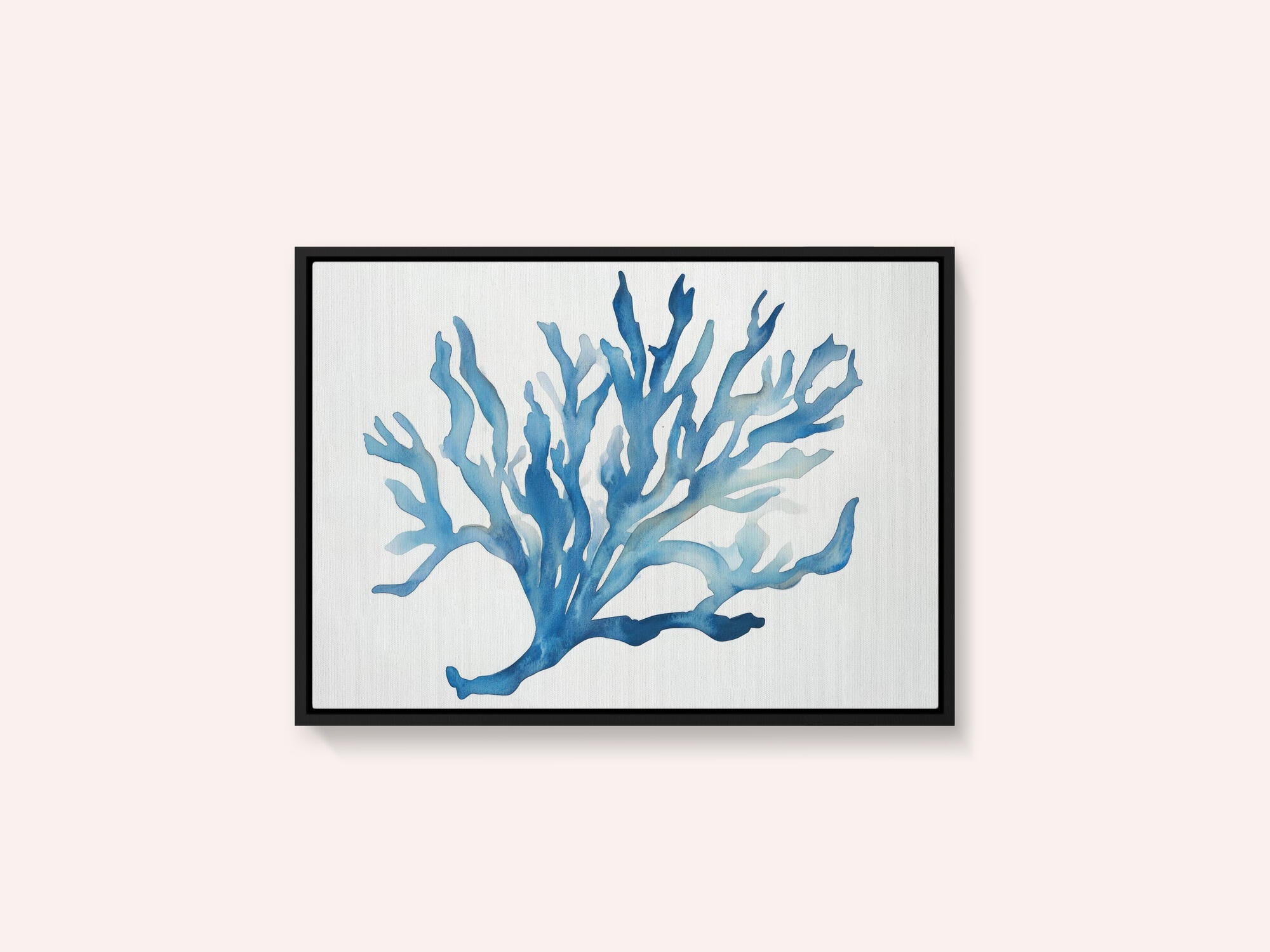 Blue Coral
