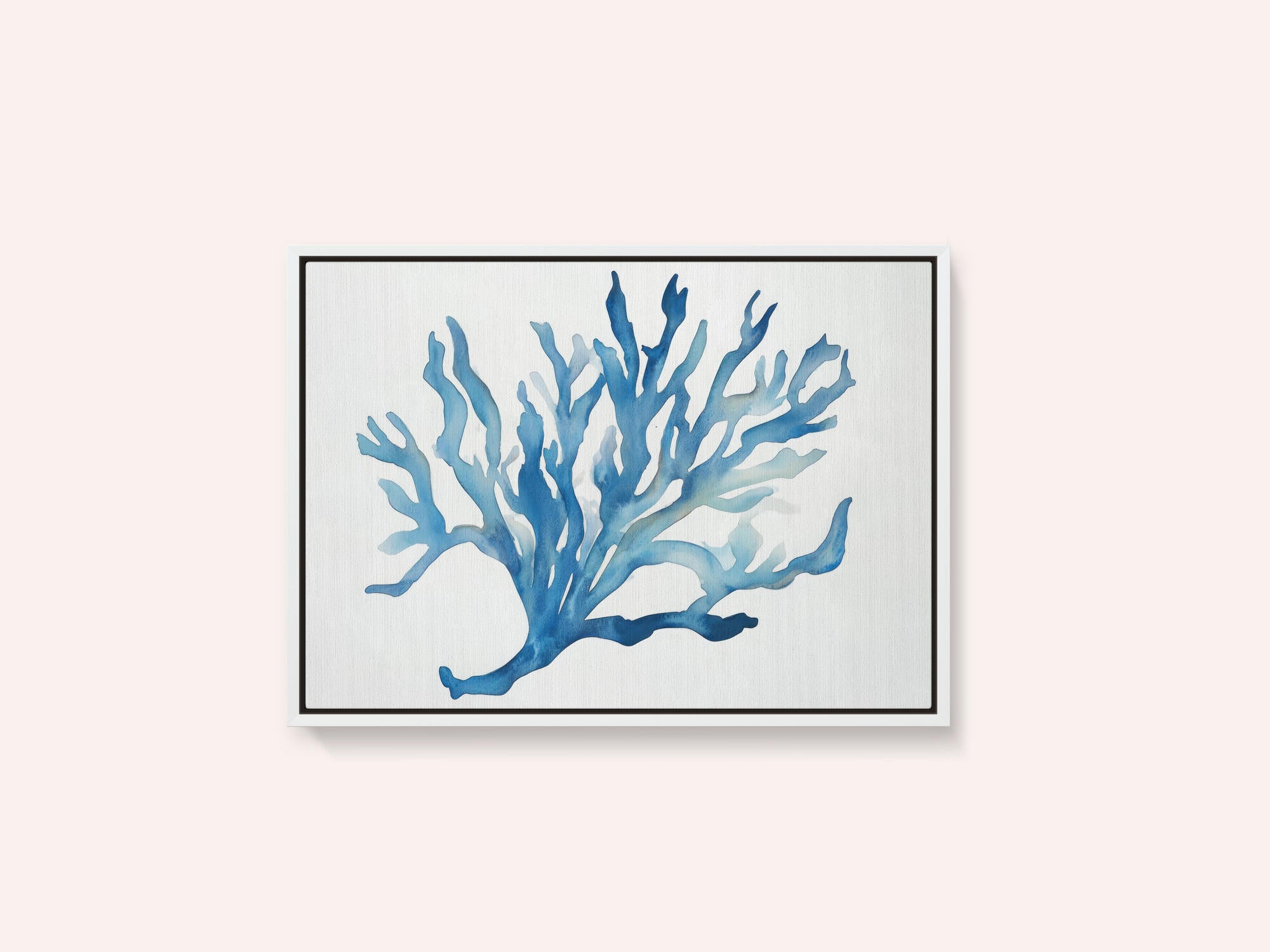 Blue Coral