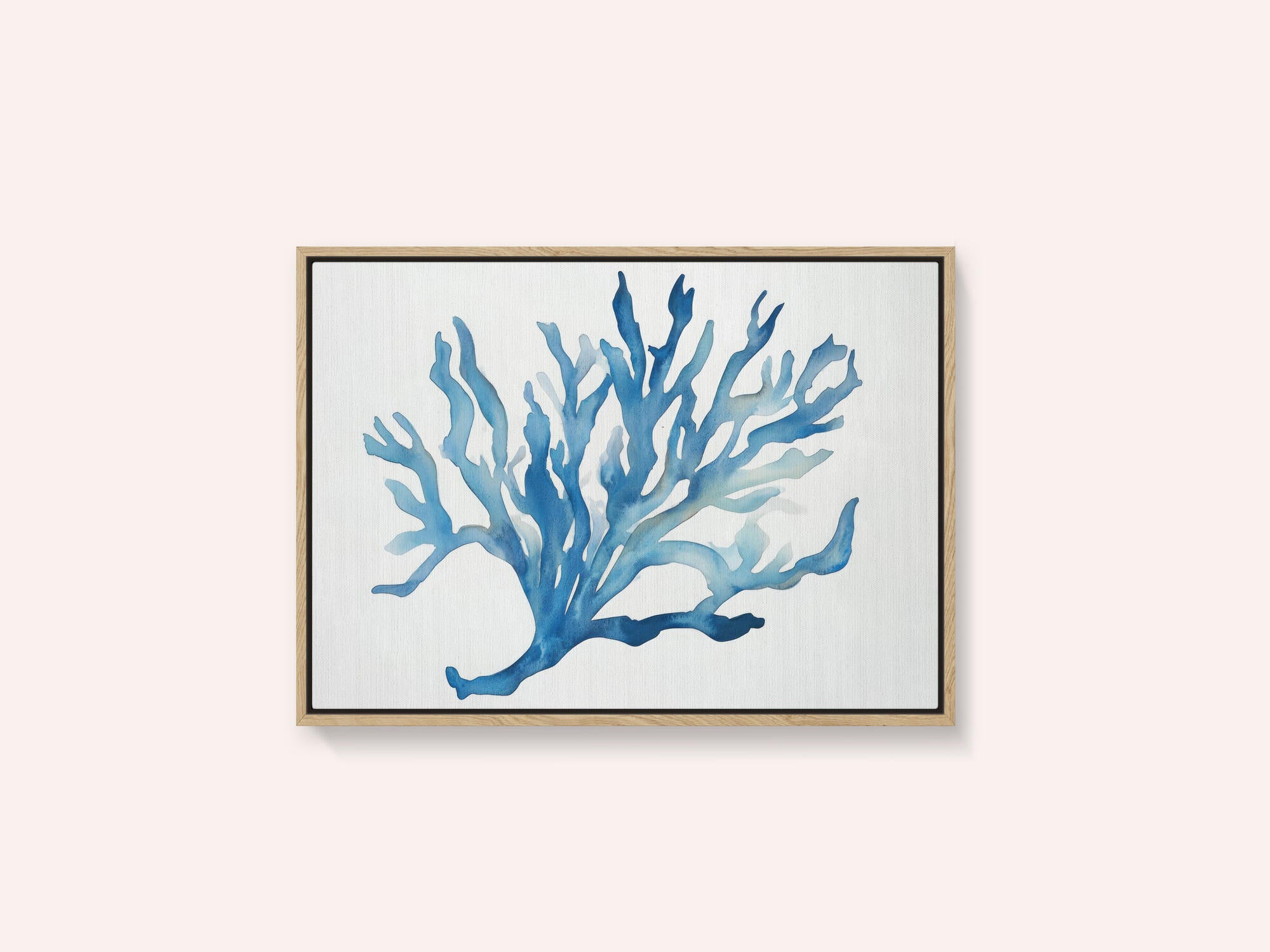 Blue Coral