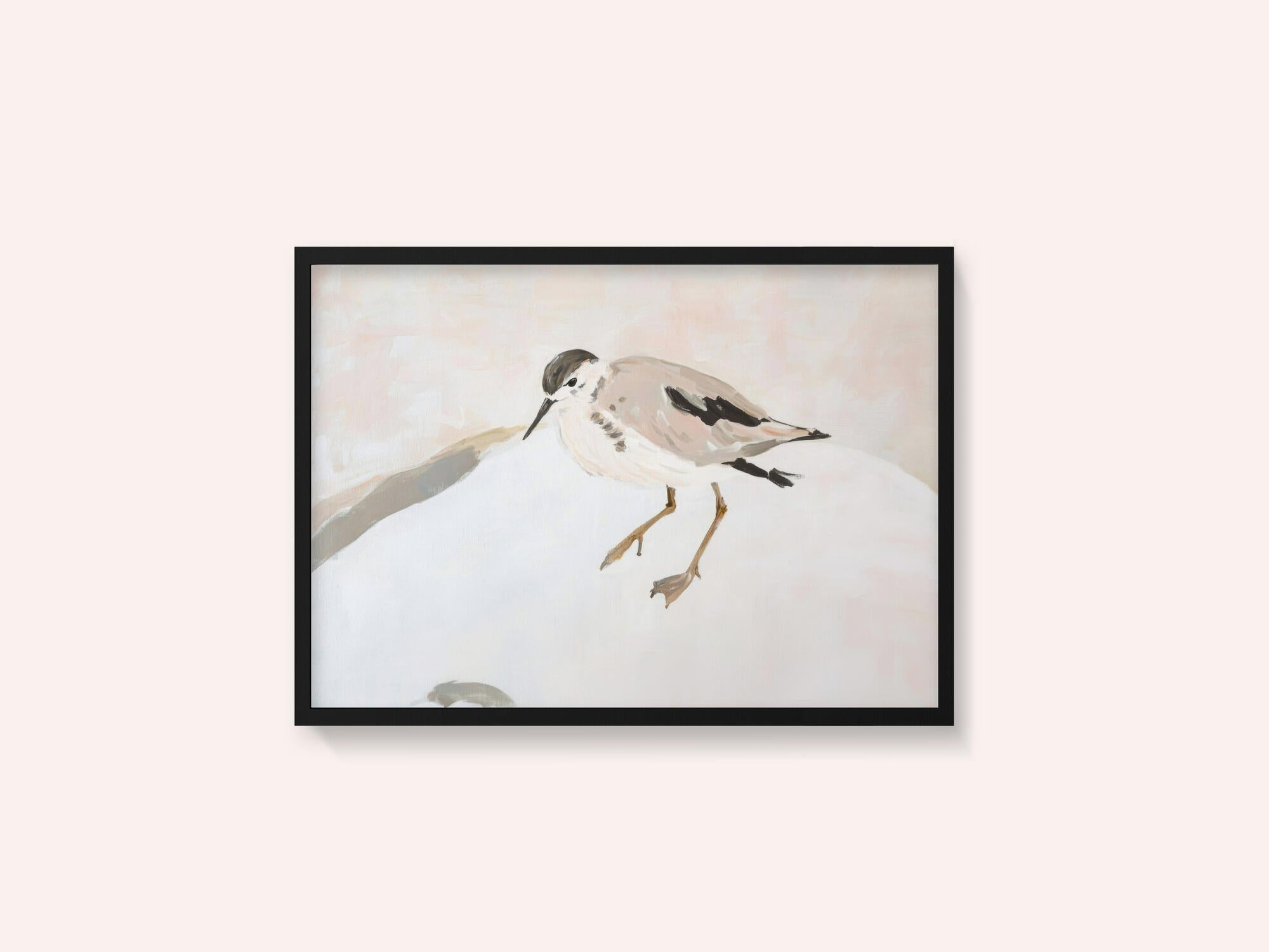 Cute Shorebird