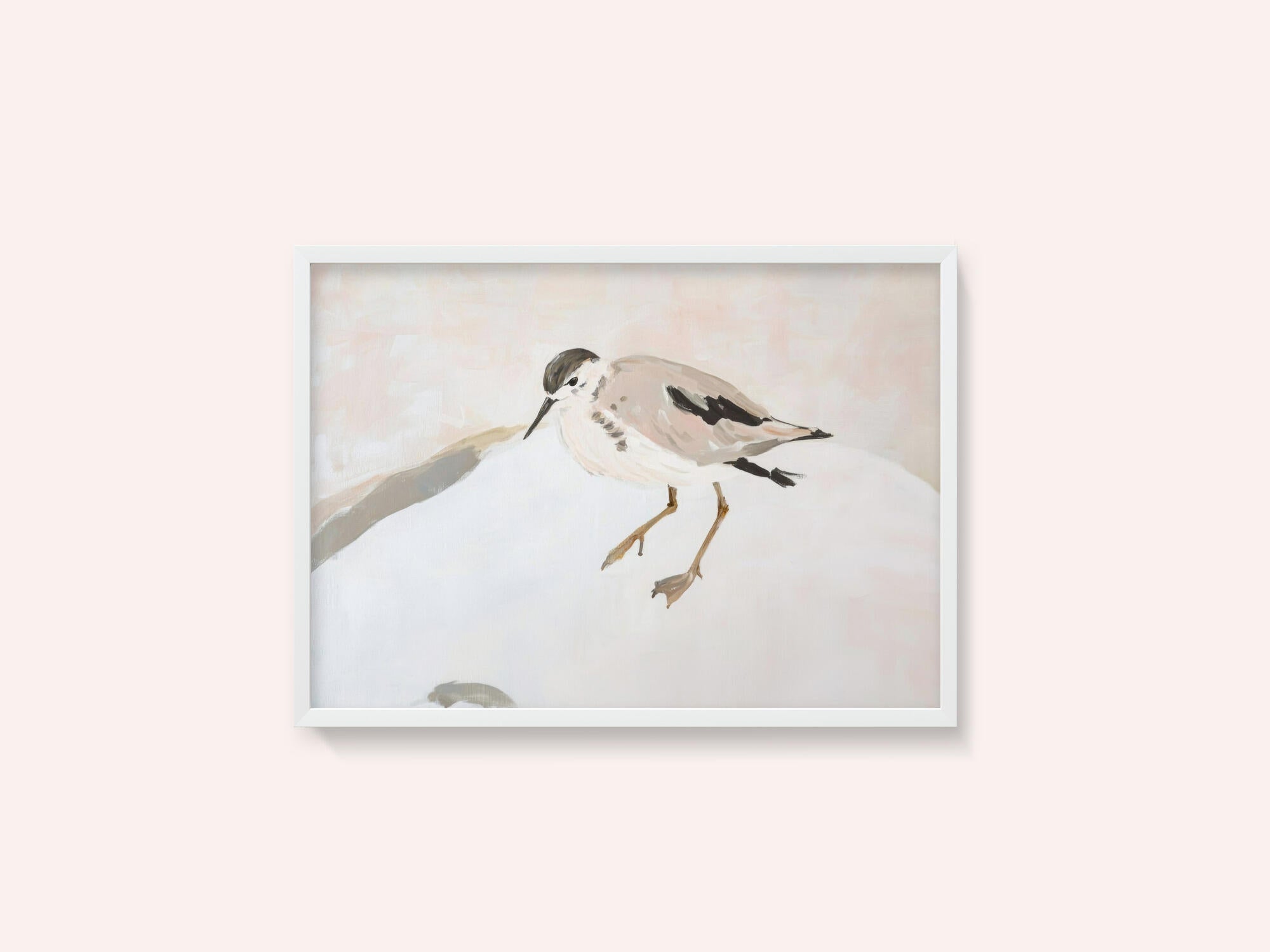 Cute Shorebird