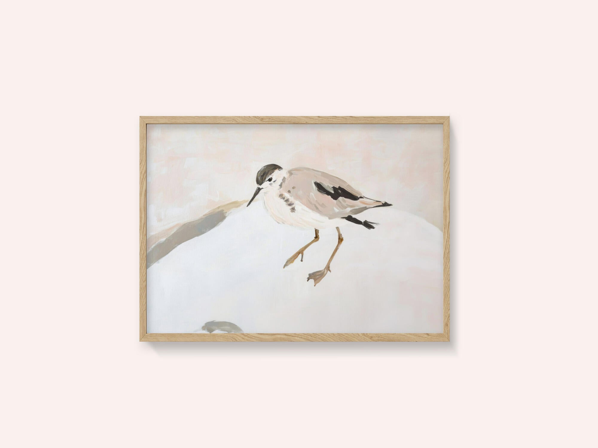 Cute Shorebird