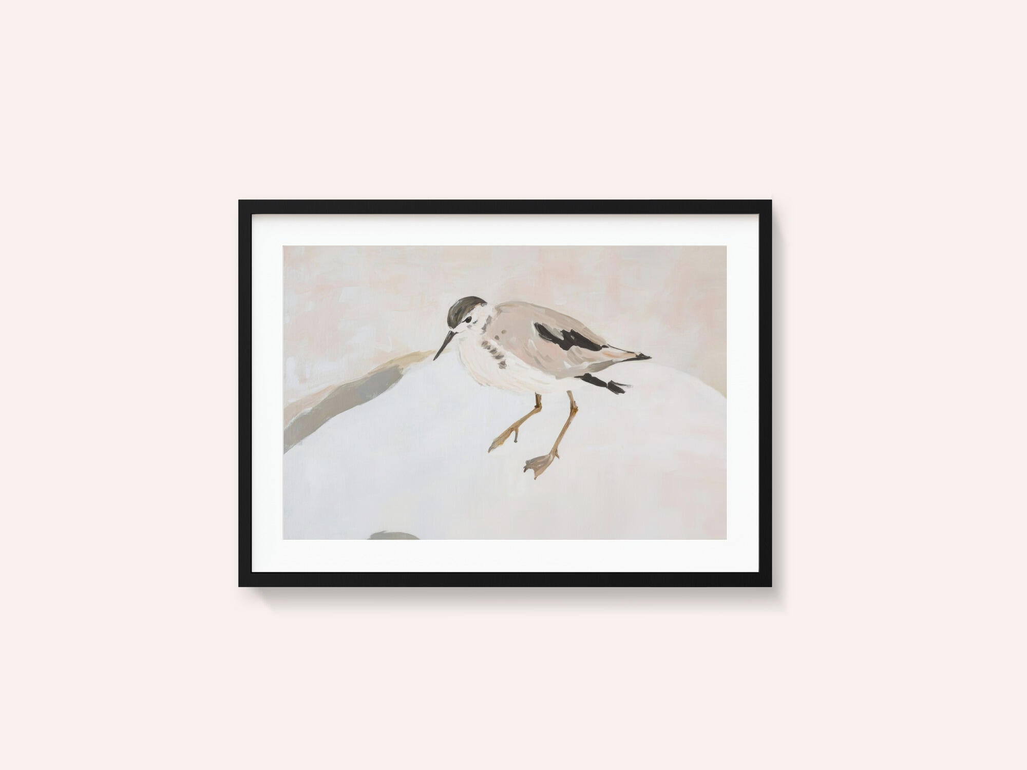 Cute Shorebird