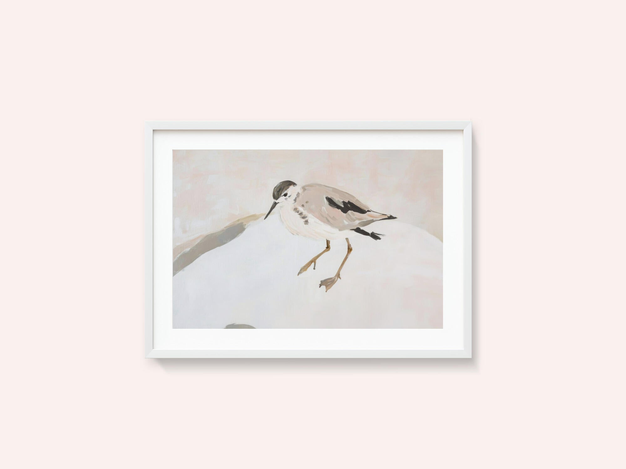 Cute Shorebird