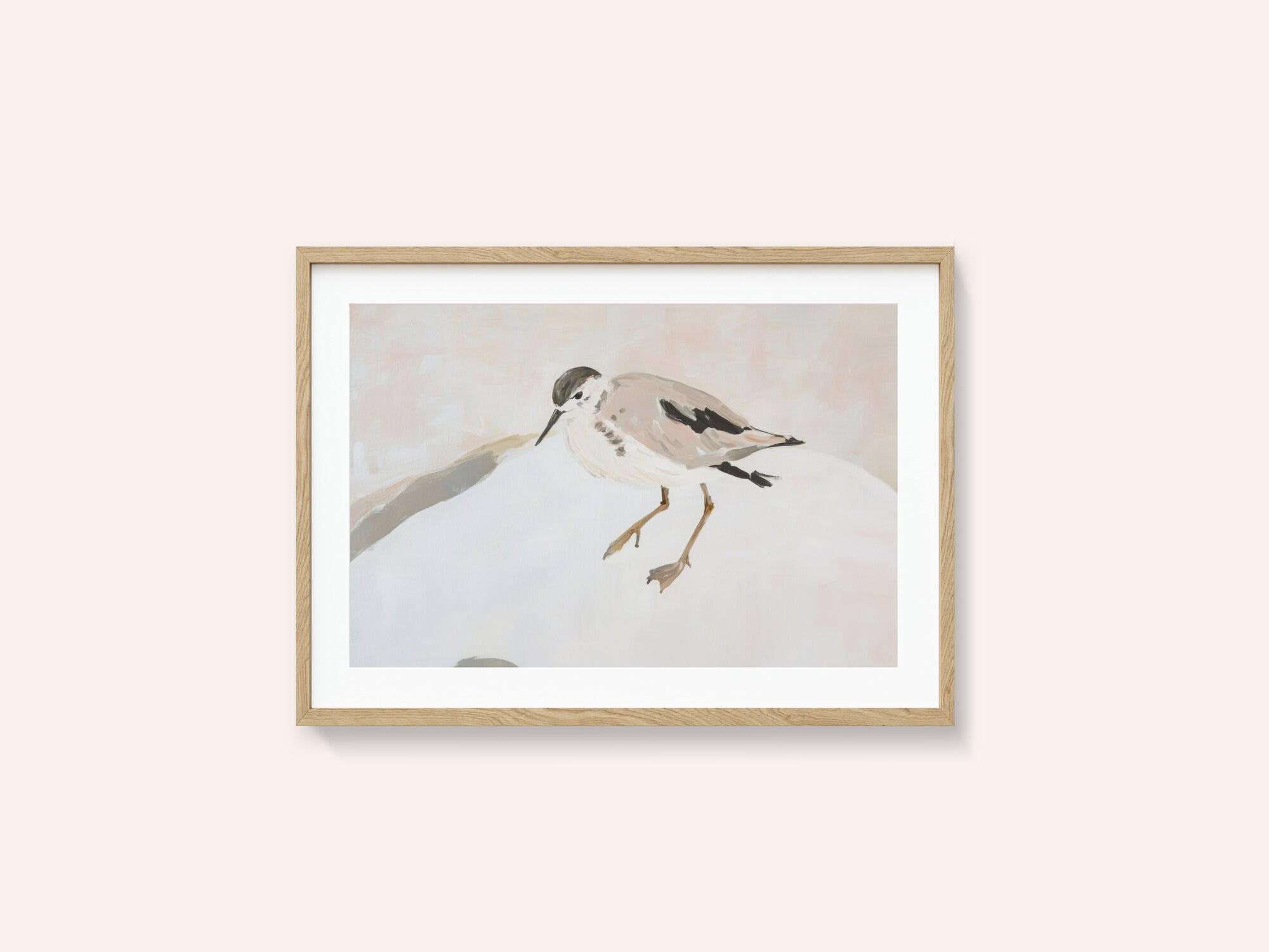 Cute Shorebird