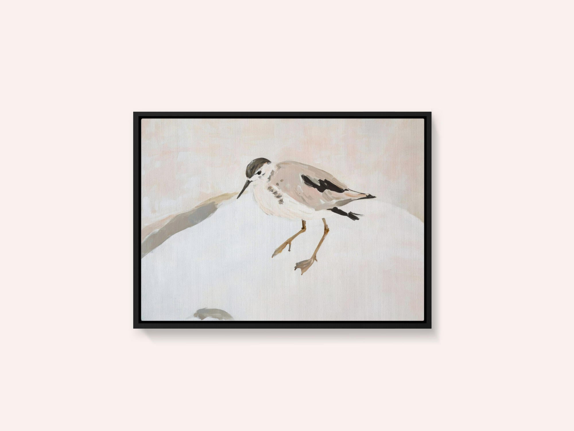 Cute Shorebird