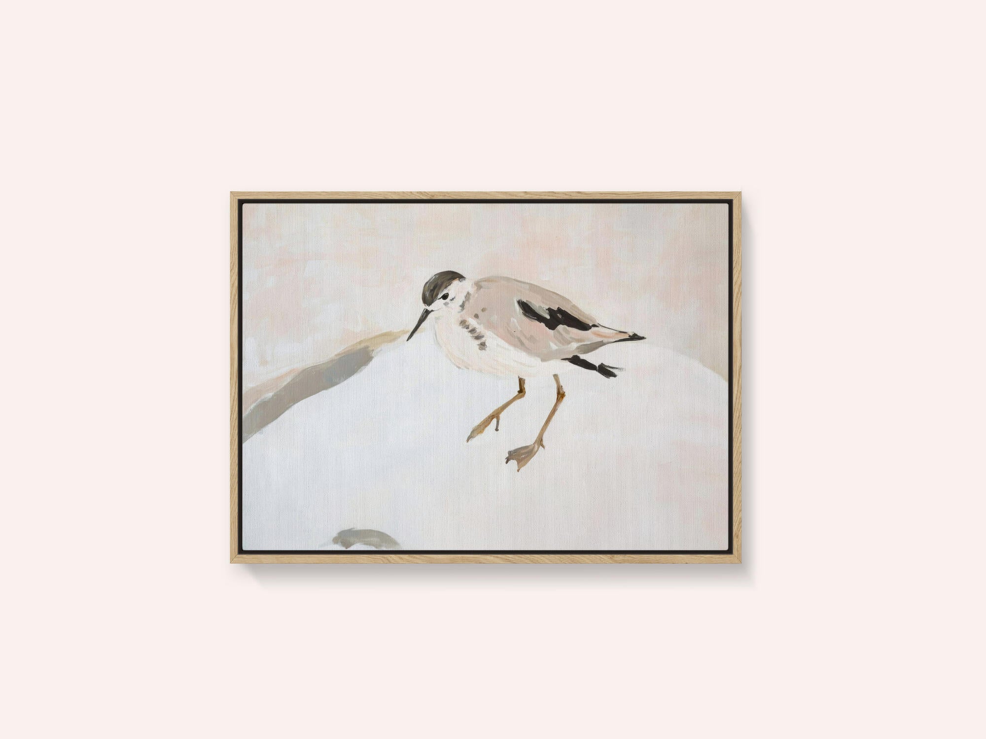 Cute Shorebird