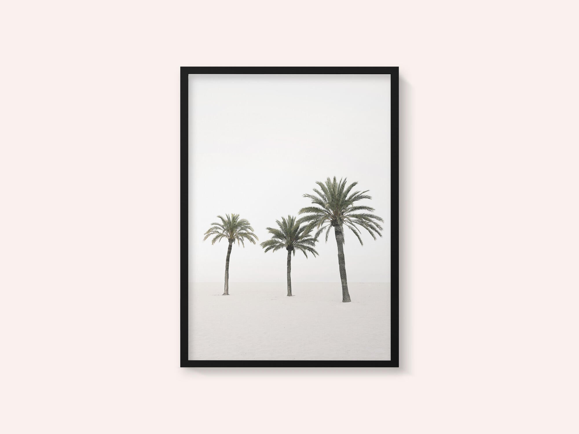 Palms
