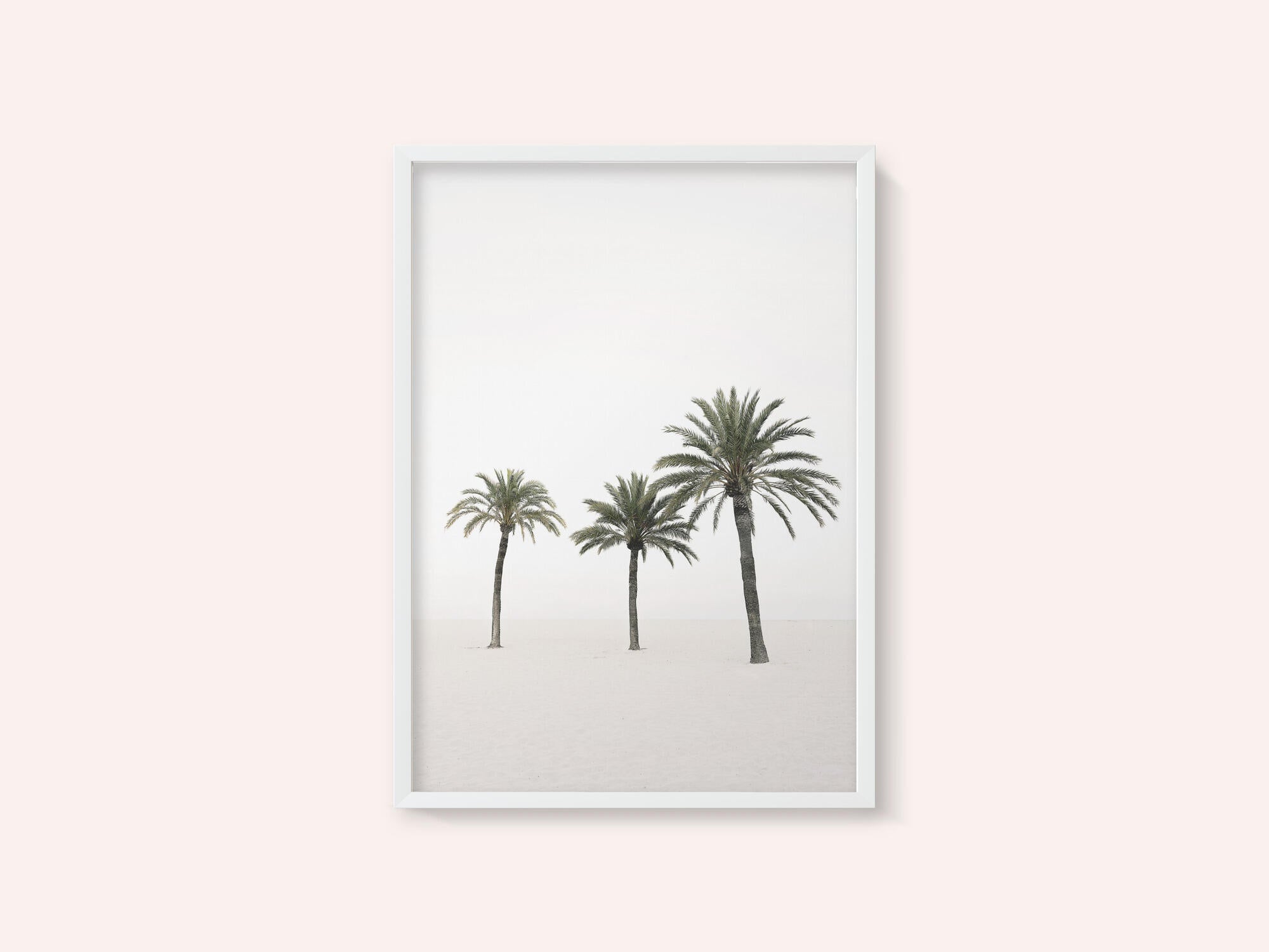 Palms