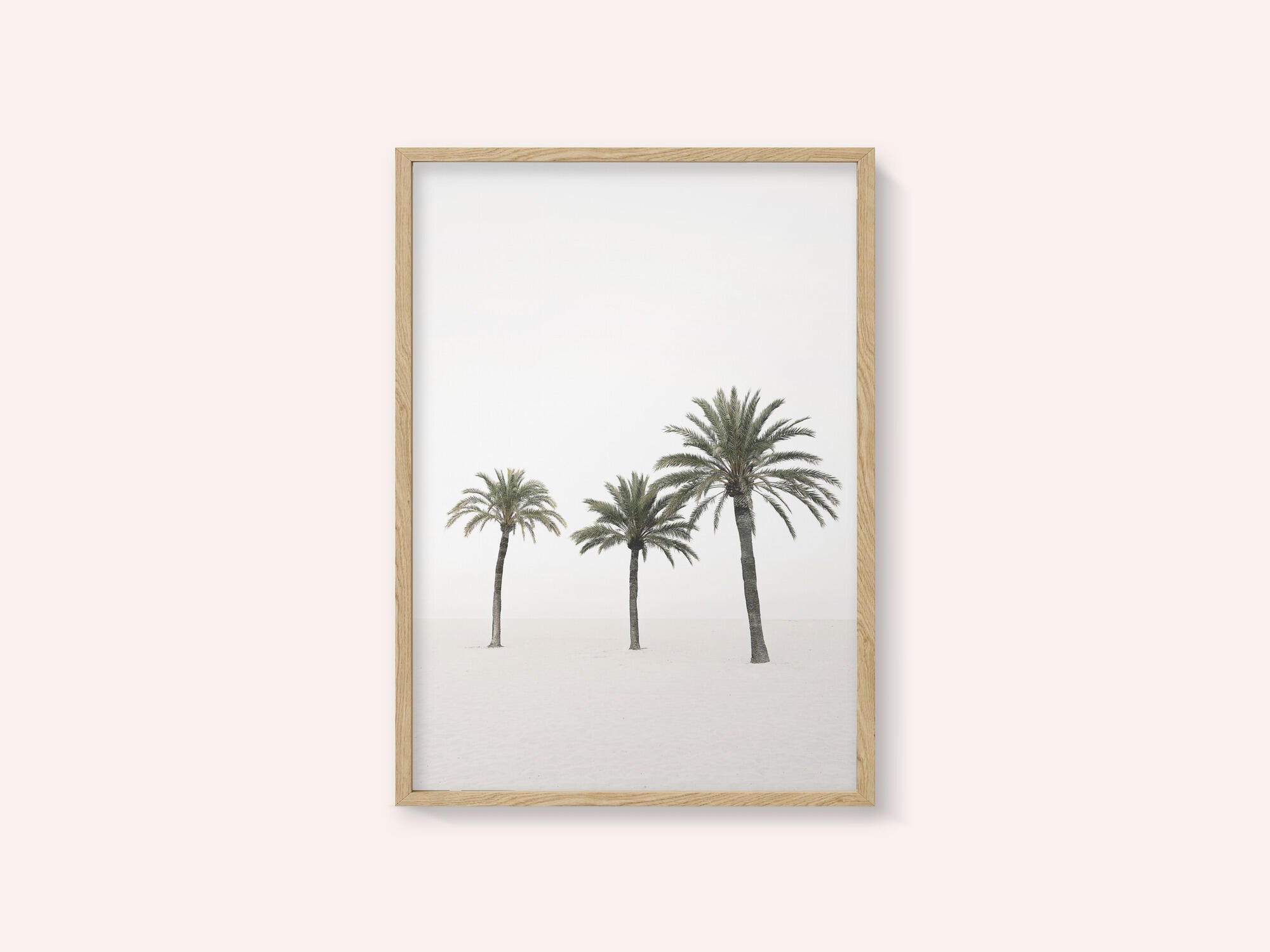 Palms