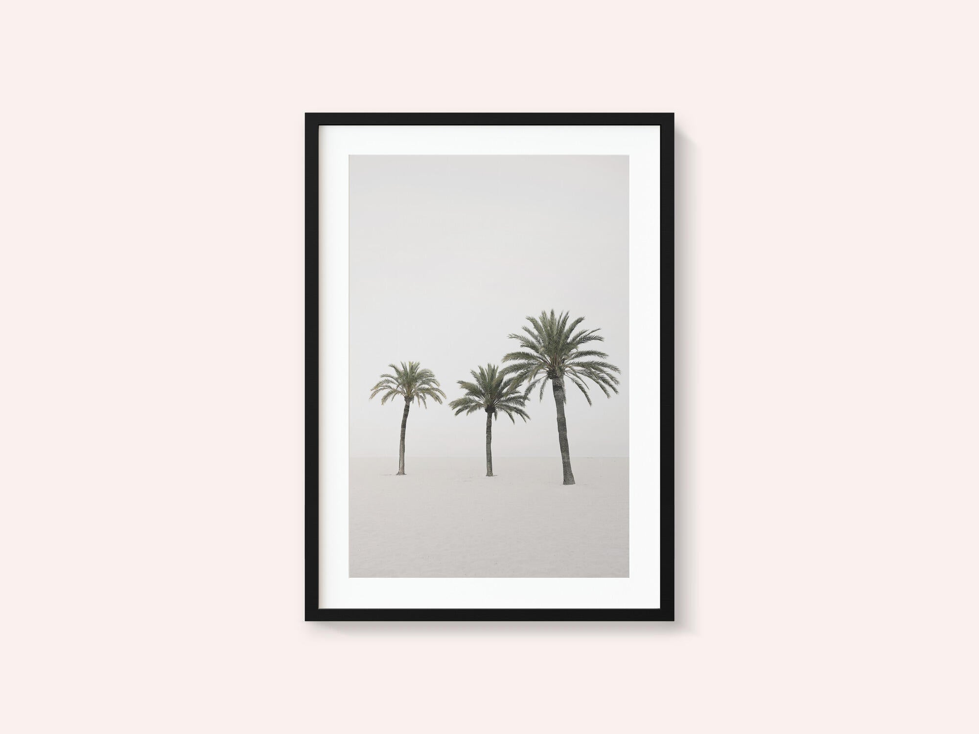 Palms