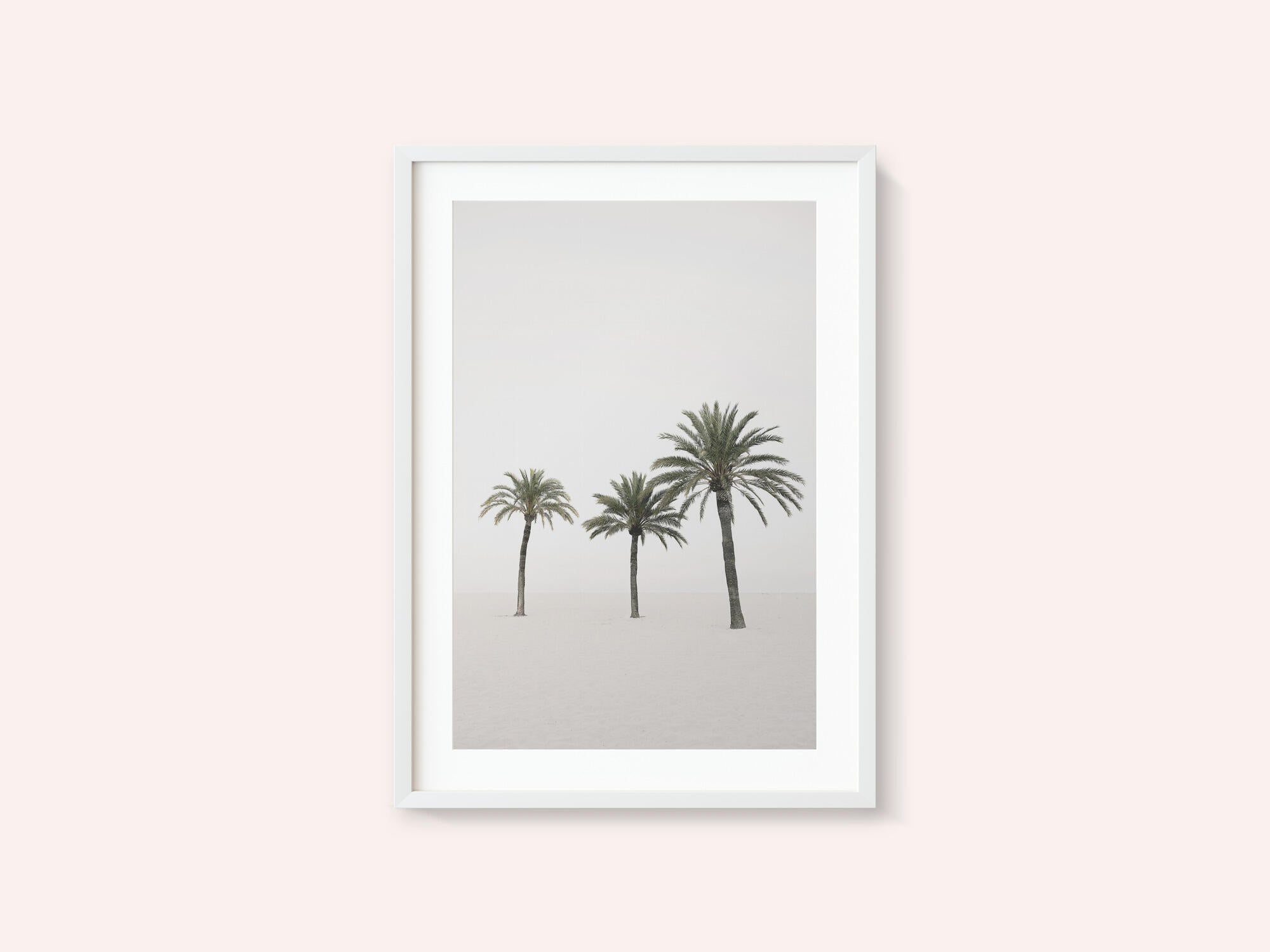 Palms