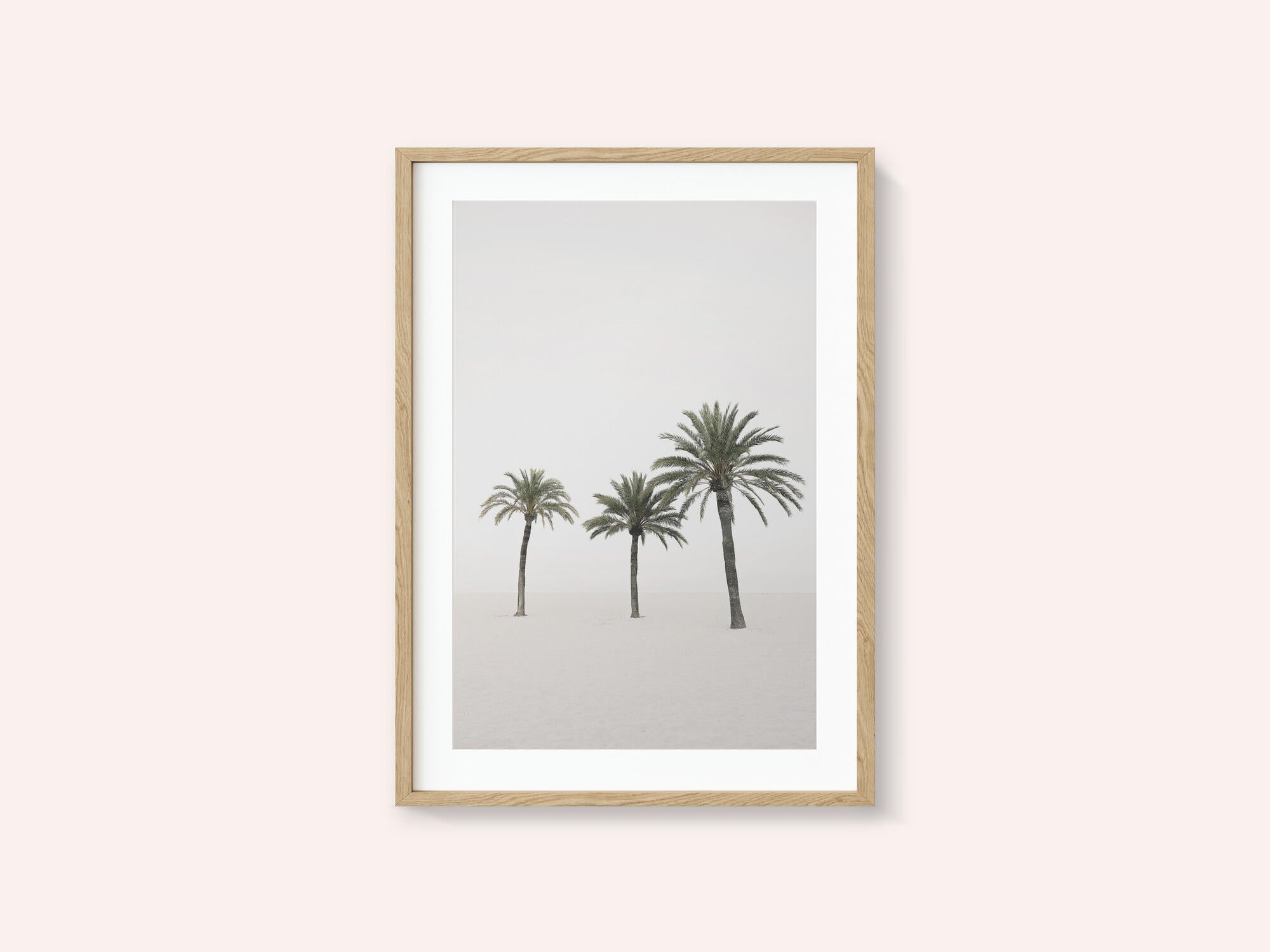 Palms