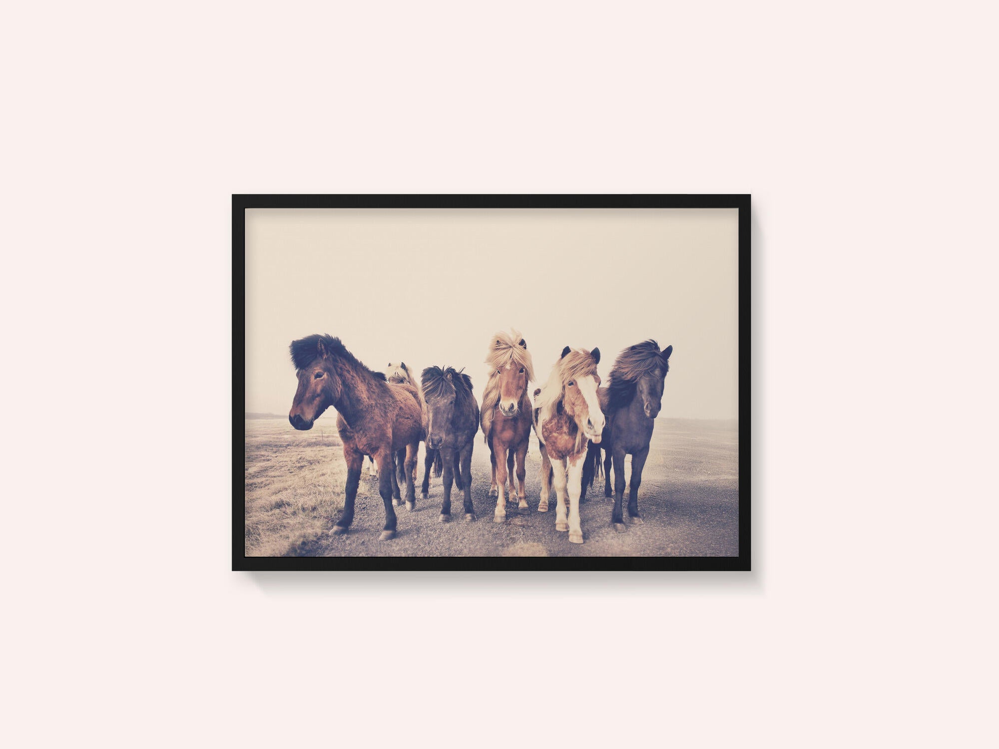 Horses