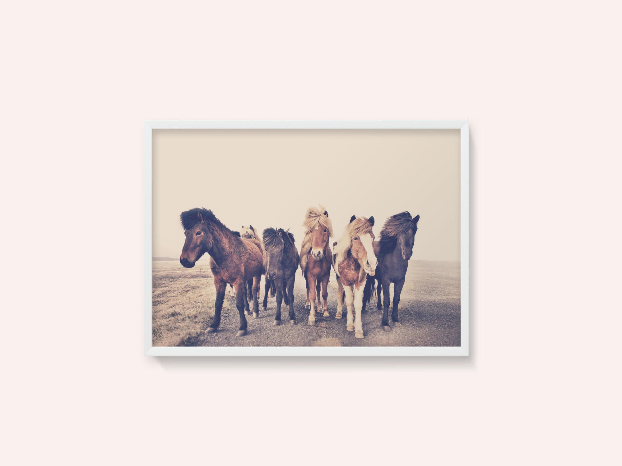 Horses