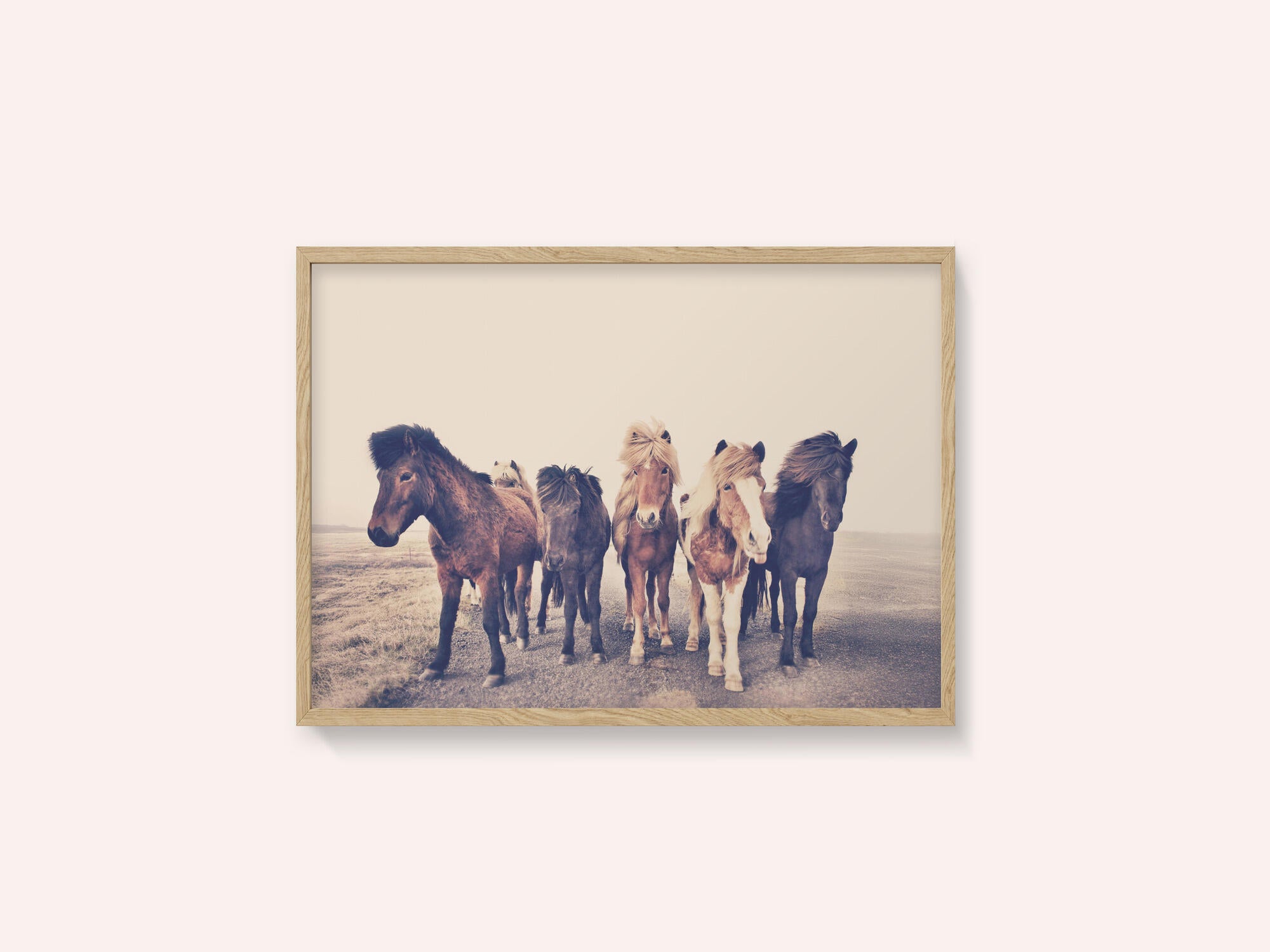 Horses