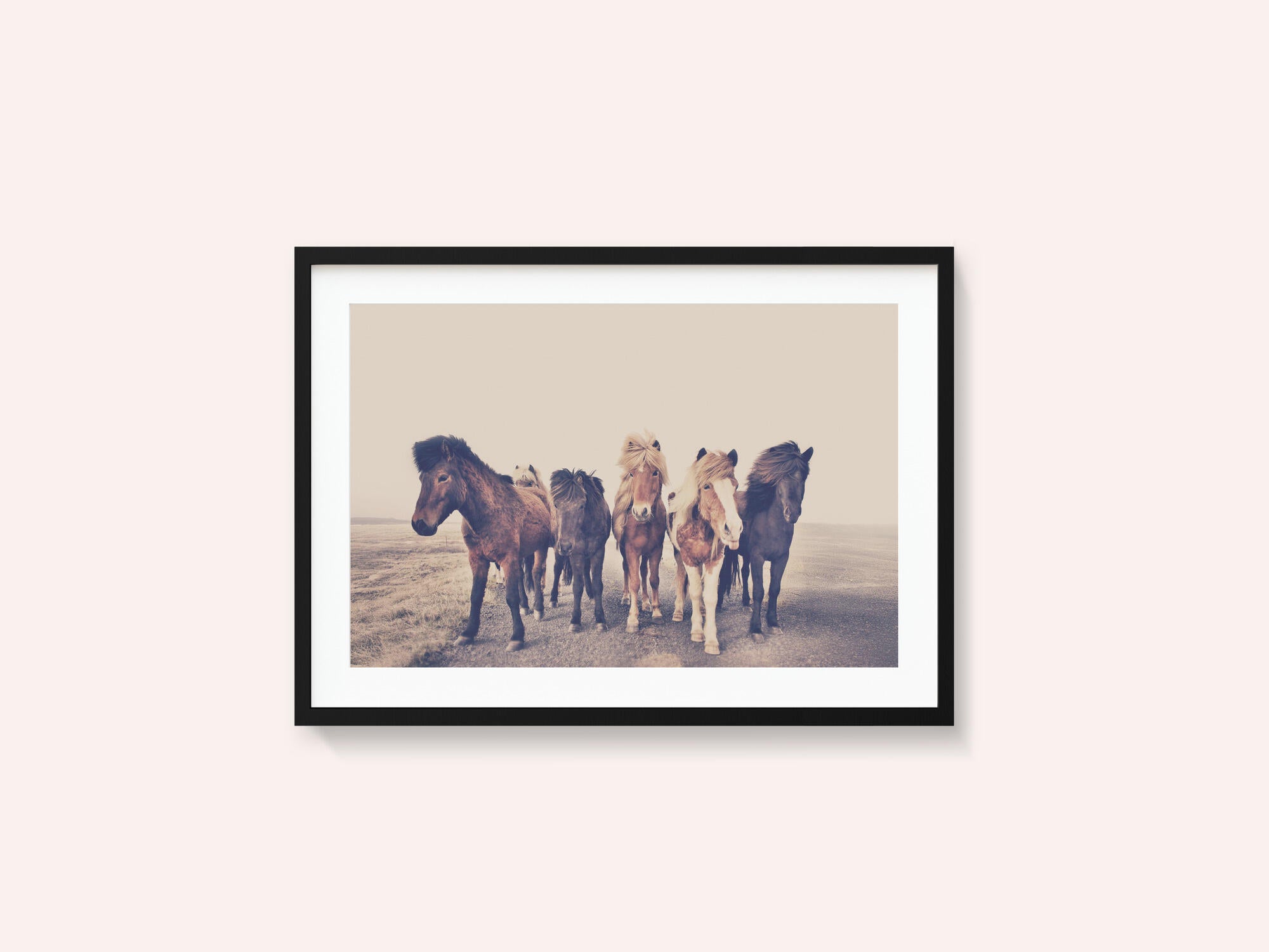 Horses