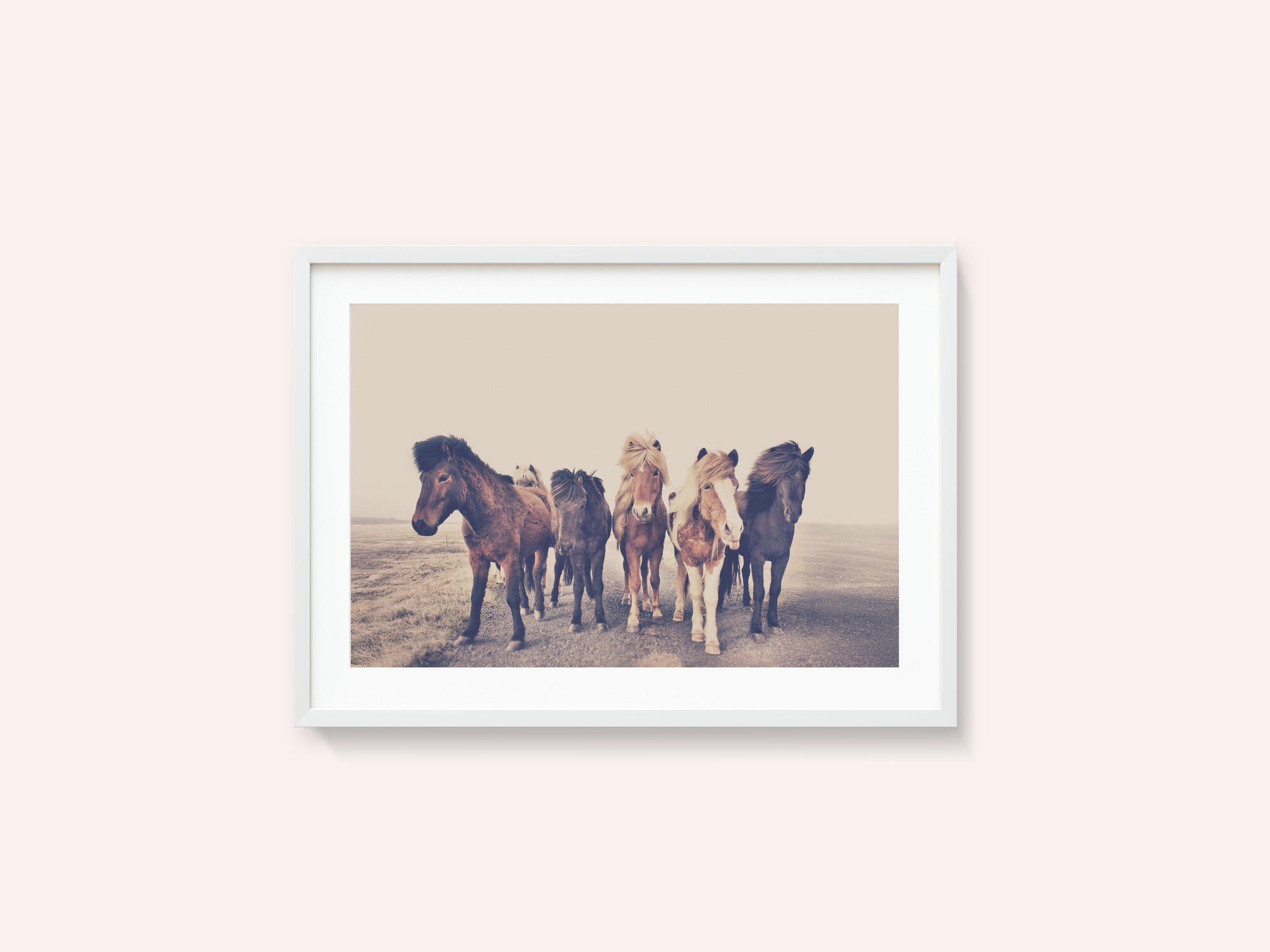 Horses
