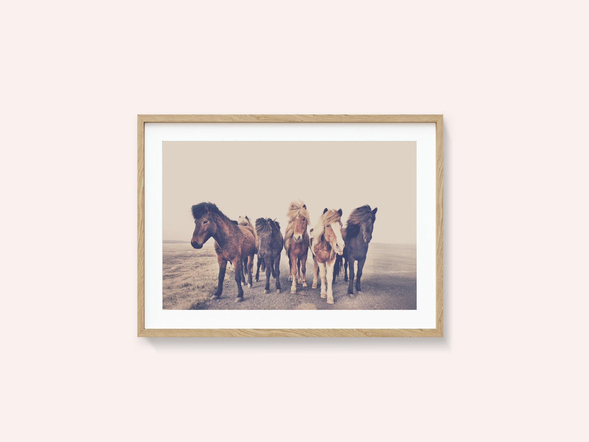Horses