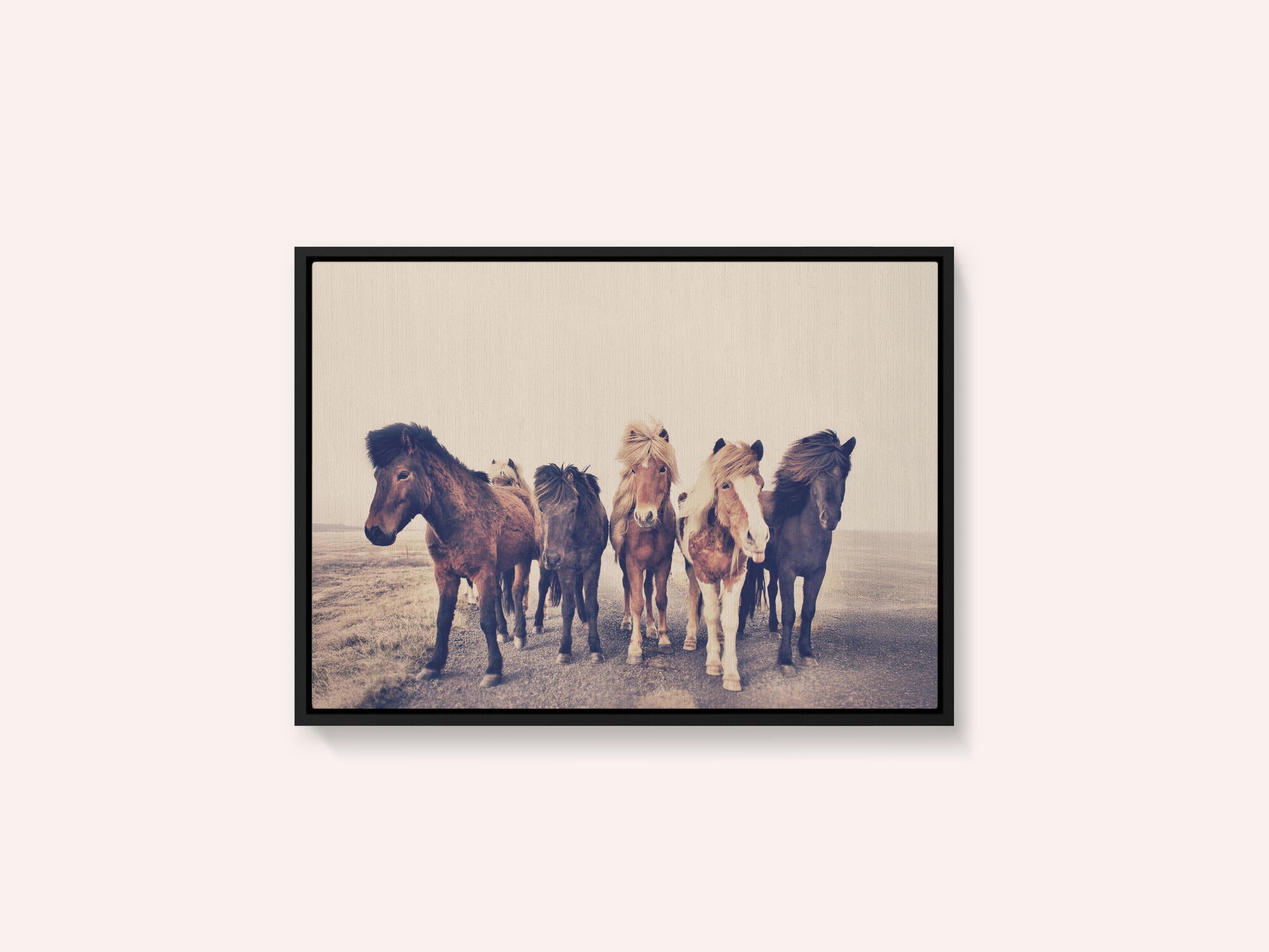 Horses